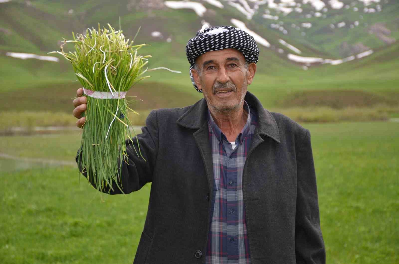 Şırnak’ta ’sirik’ otu için 200 kilometre yol gidiyorlar
