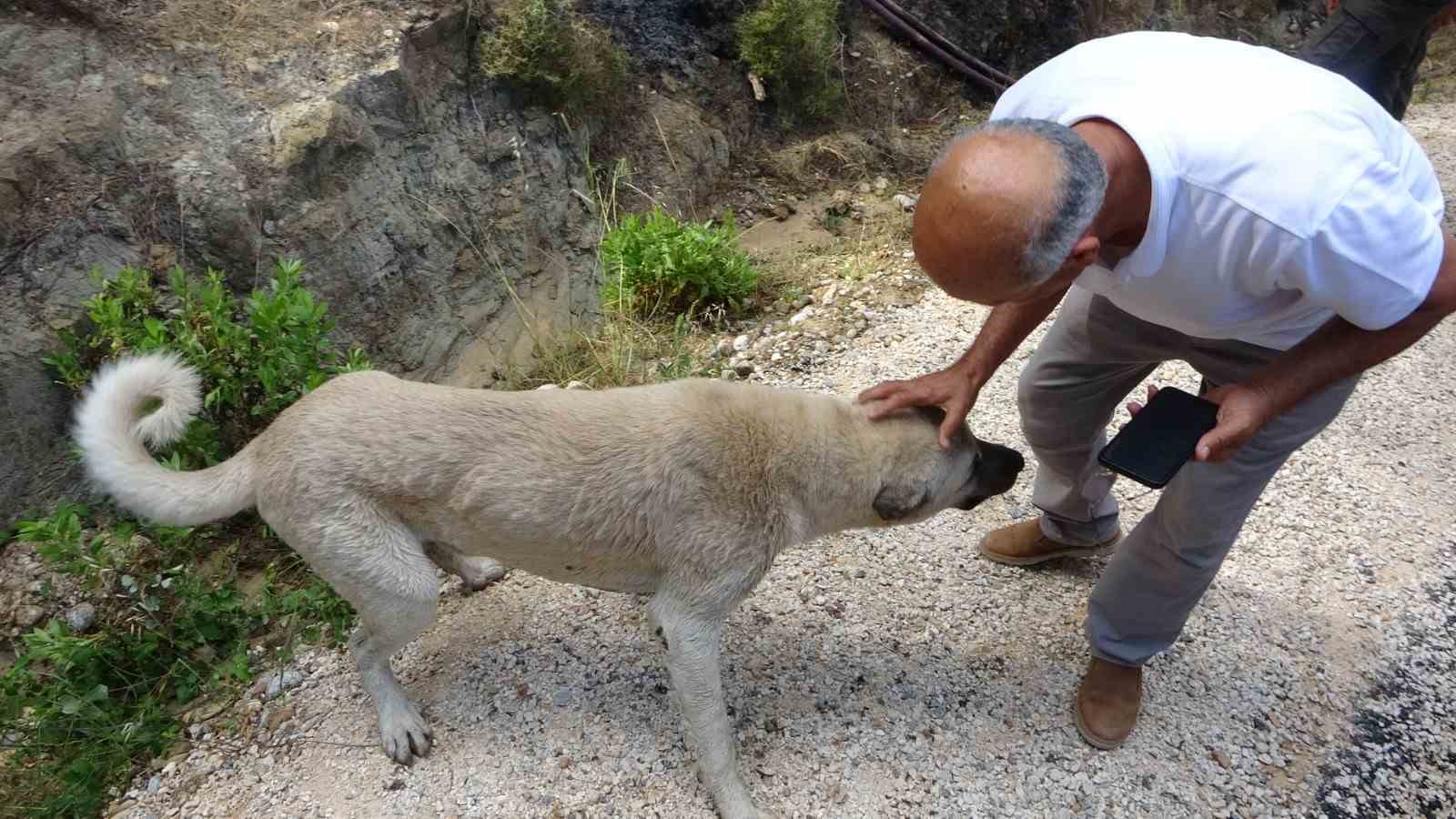 Manavgat’ta orman yangını ucuz atlatıldı
