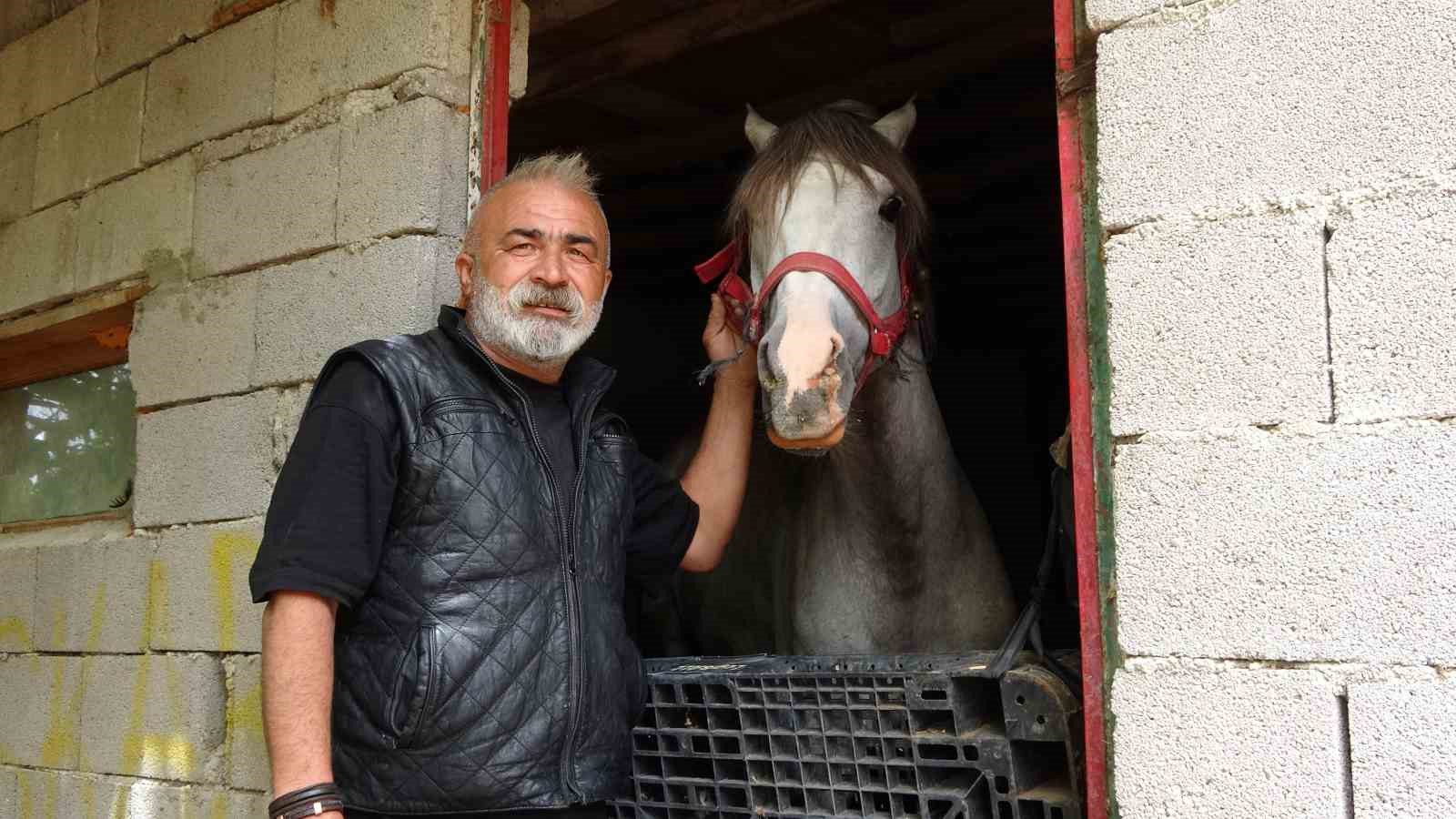 Hayvanat bahçesi değil evinin bahçesi, adeta Ali Baba’nın çiftliği
