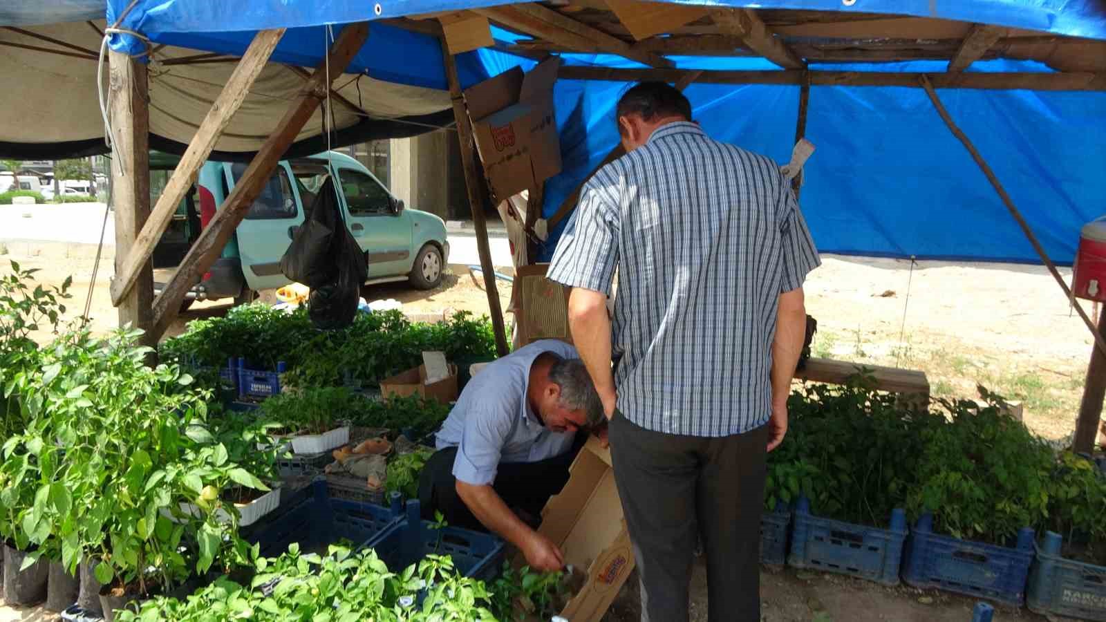 Adana’da ata tohumu ve fidelerine yoğun ilgi
