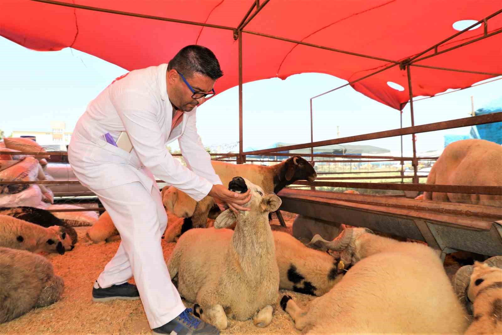 Yüreğir’de kurban satış ve kesim yerleri belirlendi
