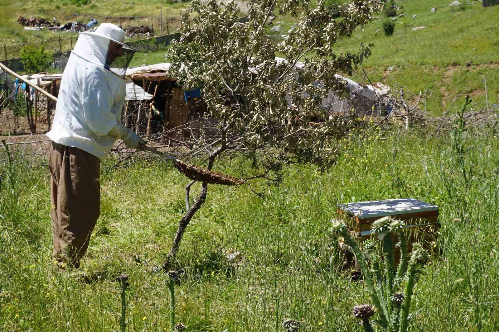 Beytüşşebap’ta arılar kış uykusundan uyandı, üretici verimden umutlu
