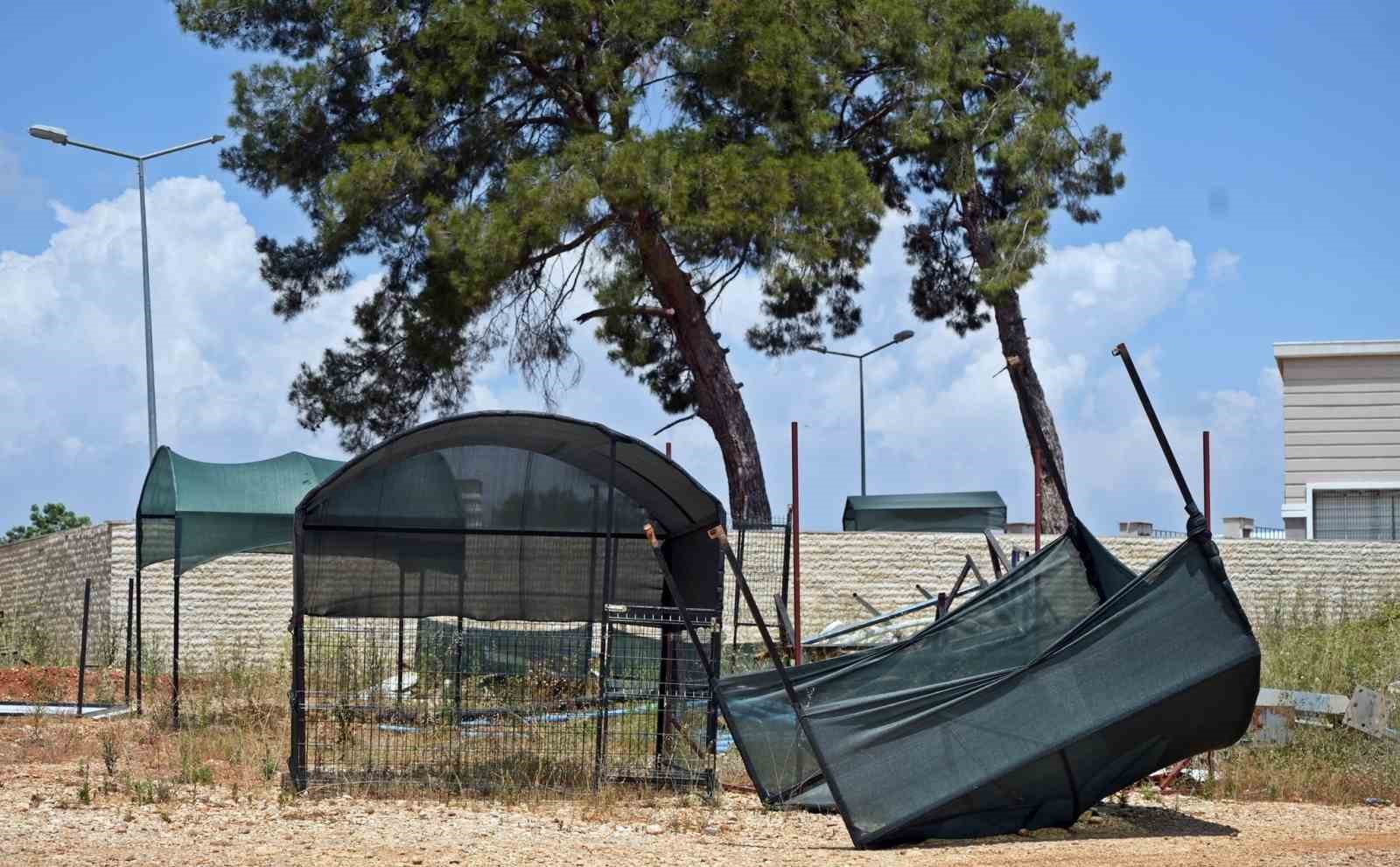 Çadır kente dönen mezarlık, tentelerden temizleniyor
