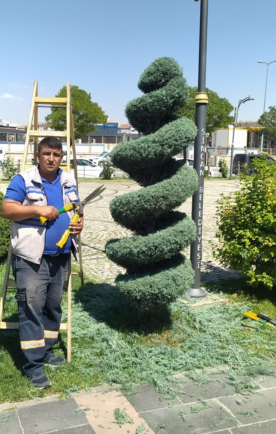 Sincan Belediyesinden ağaçlara bakım
