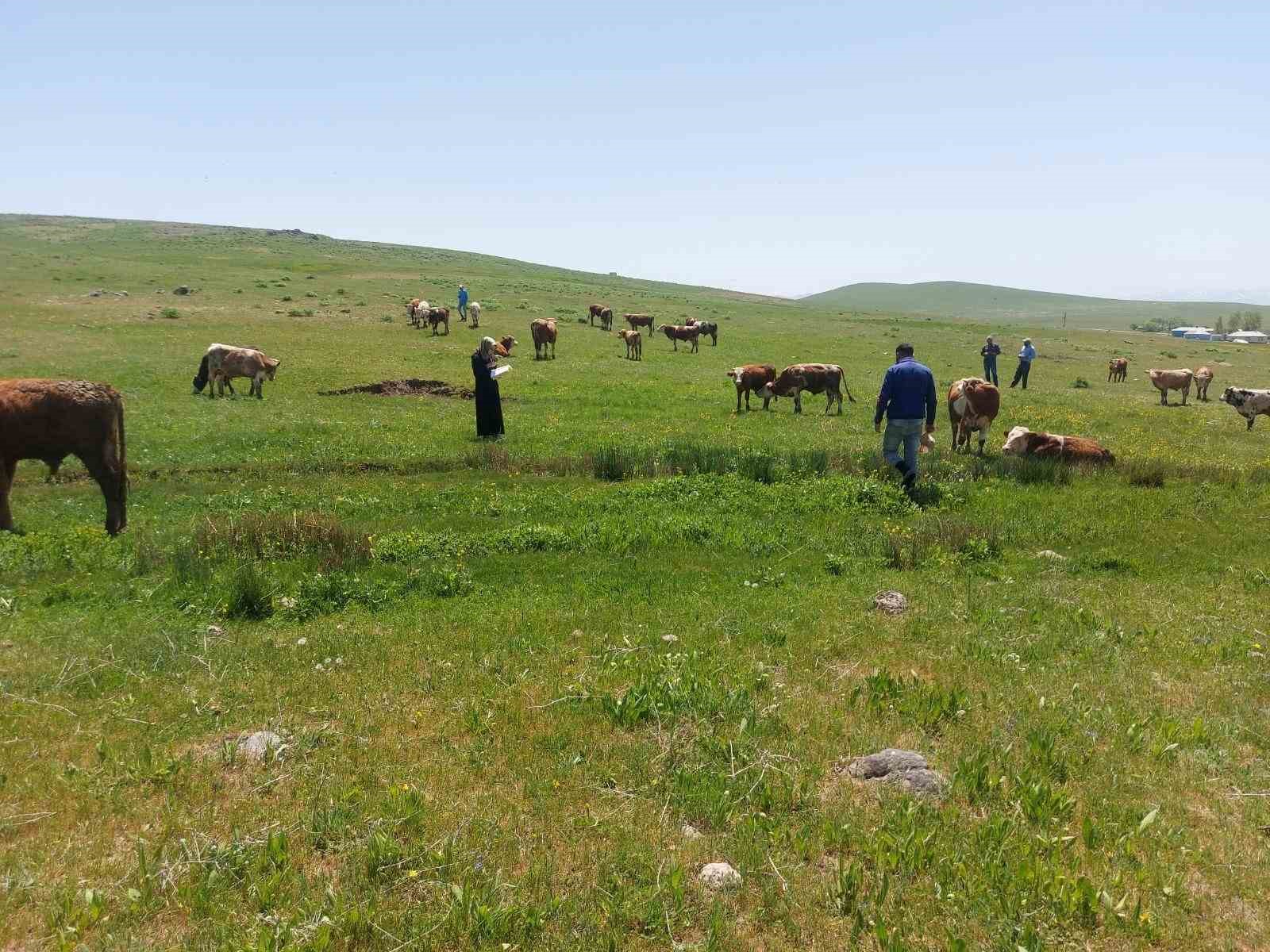 Ağrı’da çiftçilere hibe desteği
