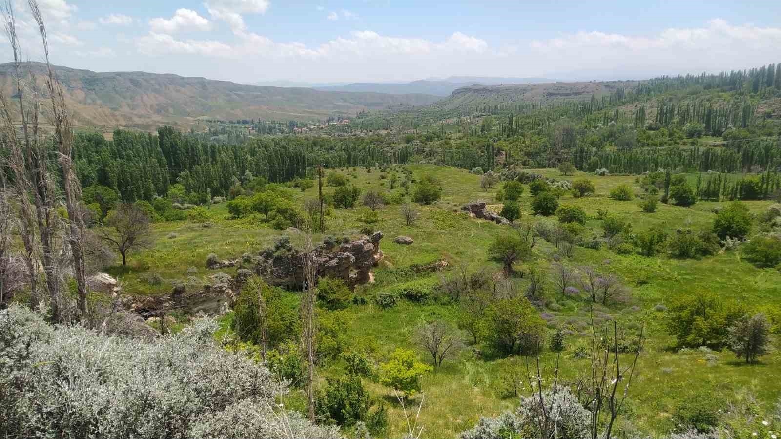 Kaza yaptı ortadan kayboldu
