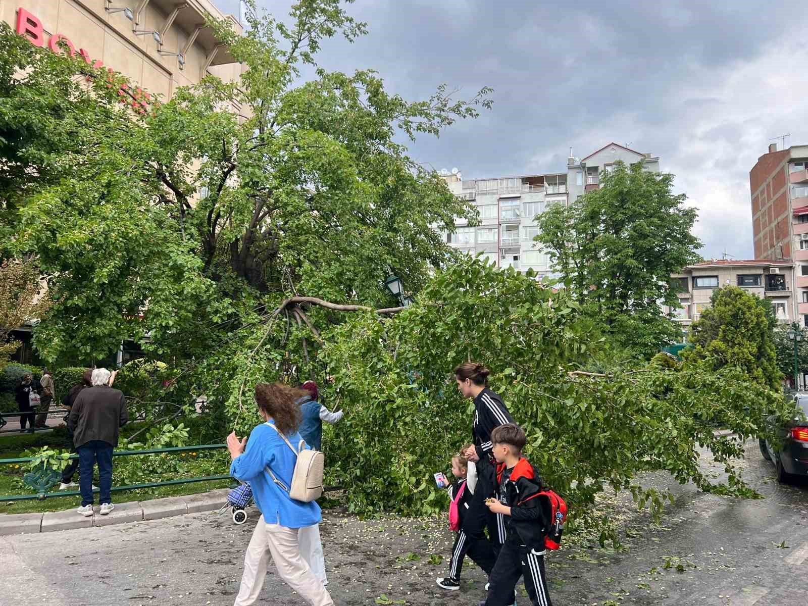 Devrilen ağaç yolu kapattı
