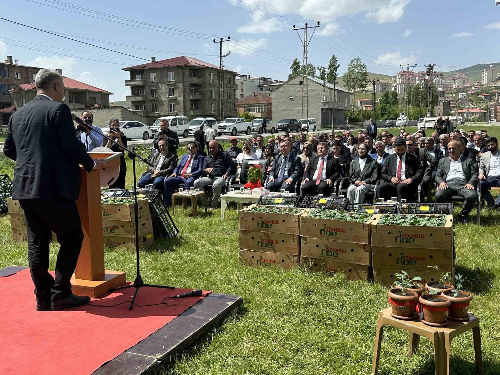 Yüksekova’da 257 çiftçiye 109 bin fide dağıtıldı
