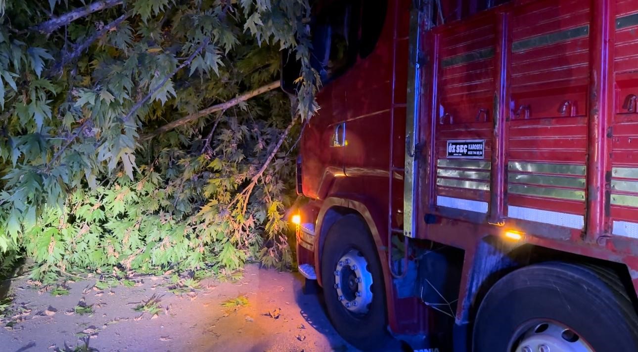 Elazığ’da trafo kulübesi yüklü tır ağacı devirdi: 1 yaralı
