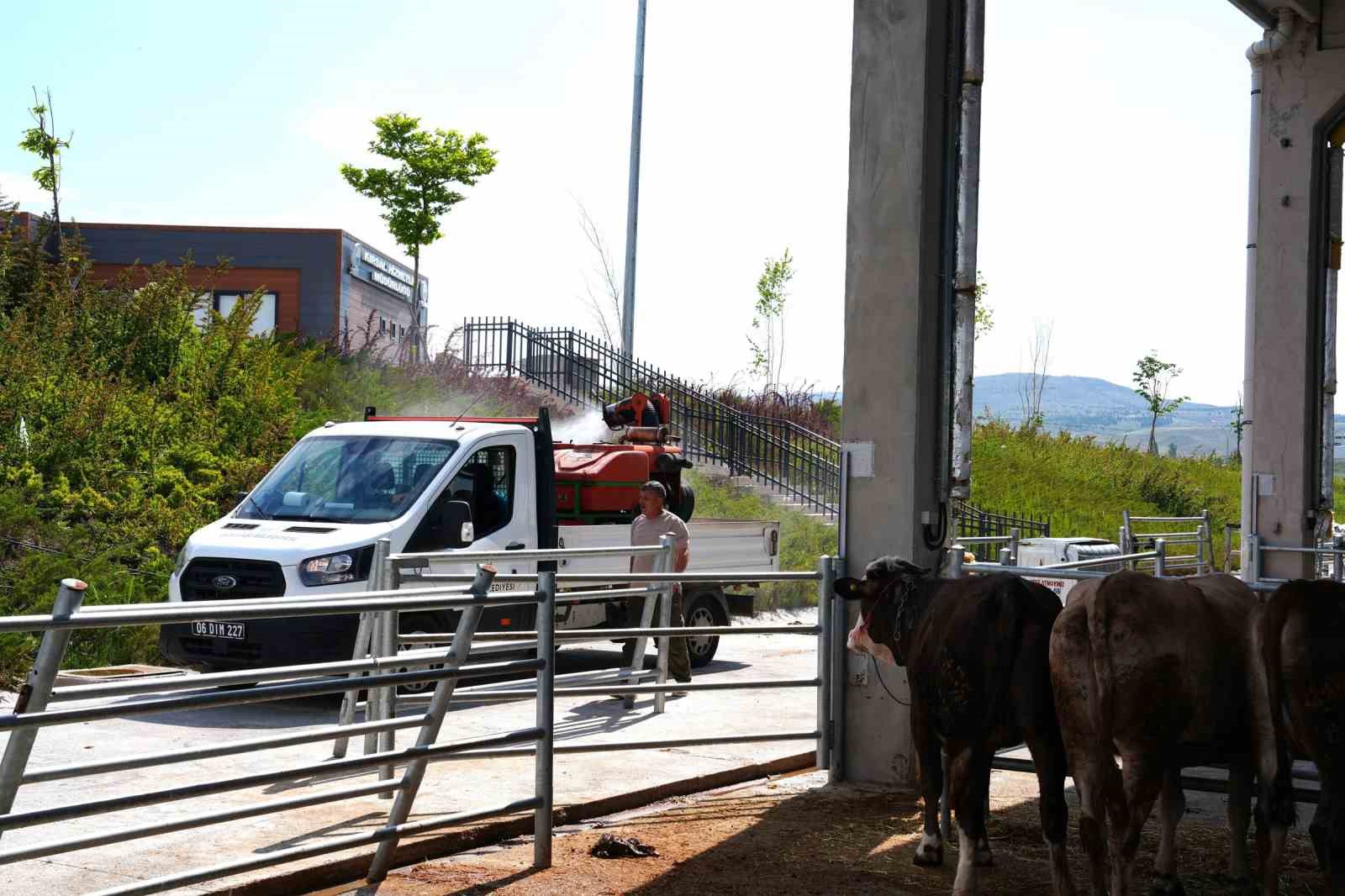 Gölbaşı Belediyesinden kurban satış ve kesim merkezlerinde ilaçlama
