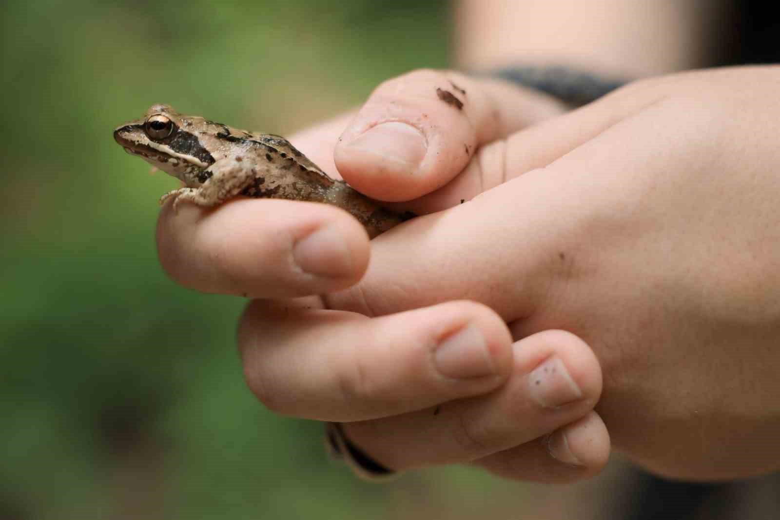 Ormanya’nın zengin biyoçeşitliliği kayıt altına alındı
