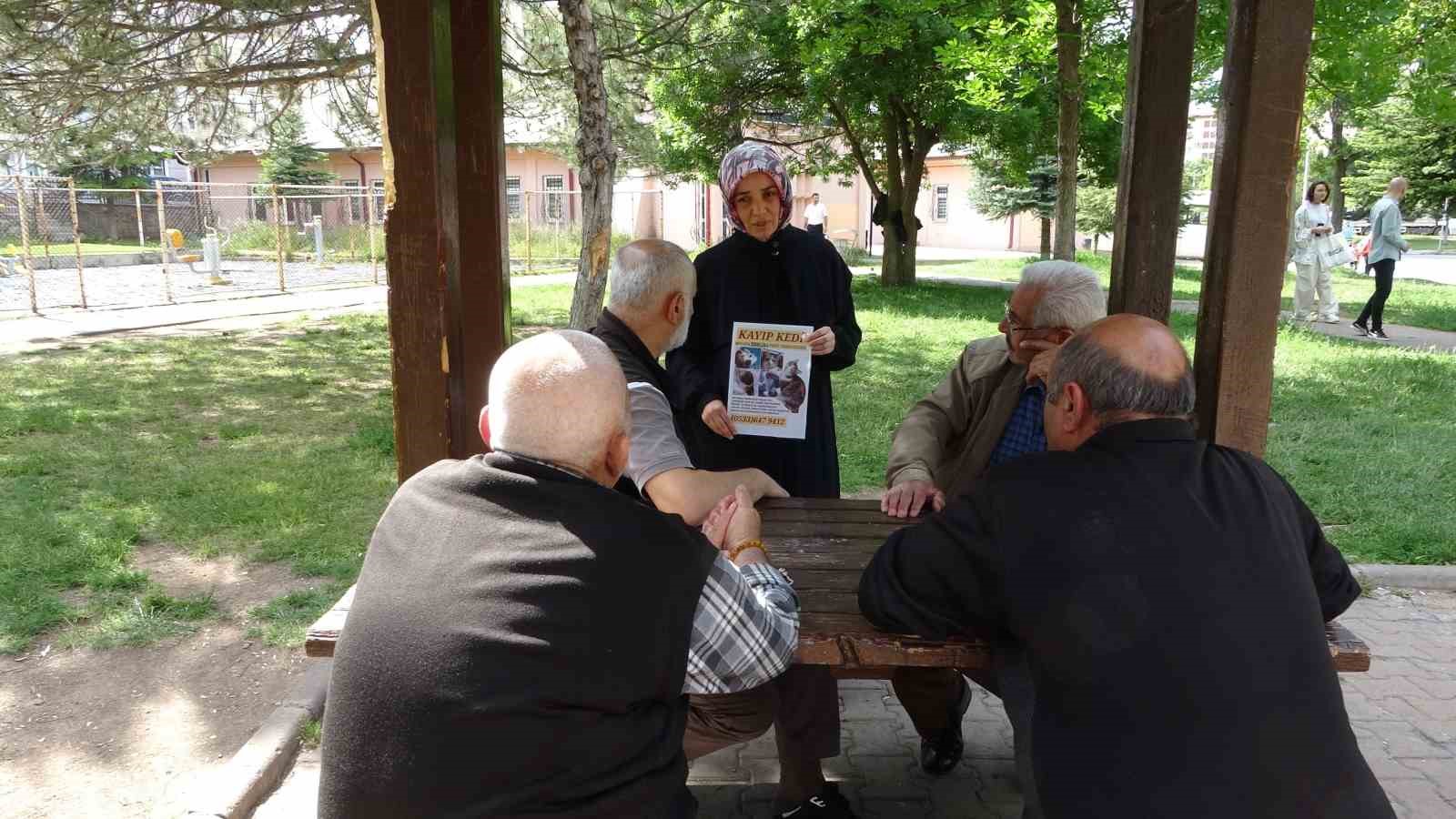 Kaybolan kedisini bulana para ödülü verecek
