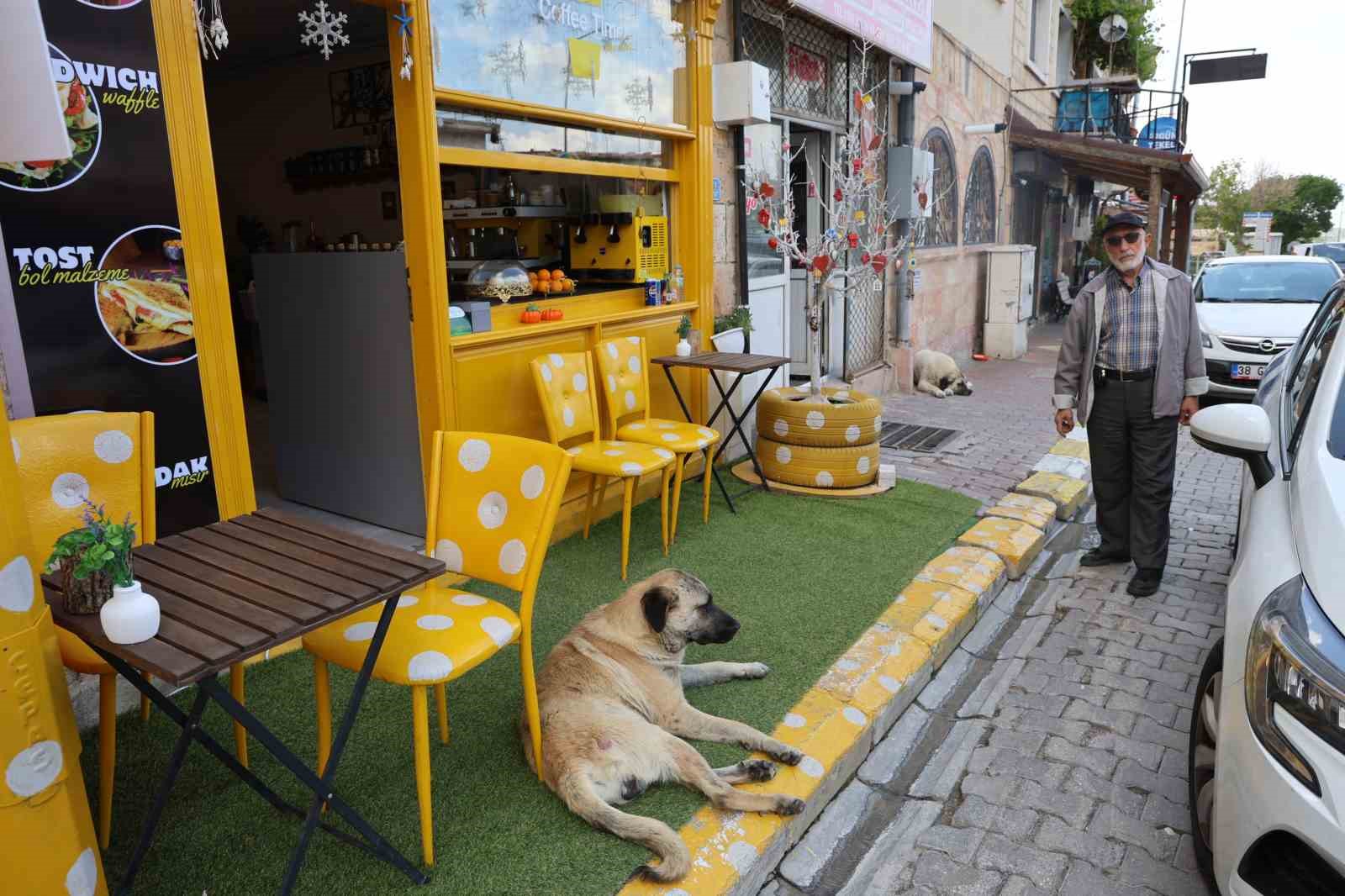 Kapadokya’da sokak köpekleri turizmi de etkiliyor
