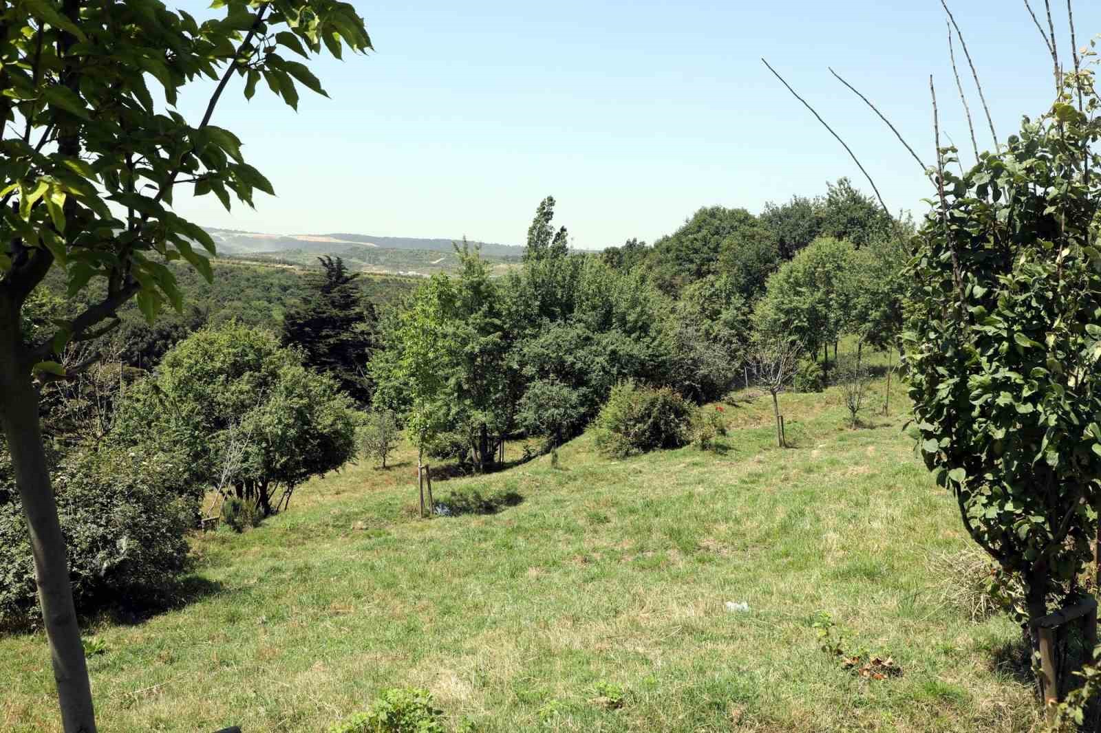 Eyüpsultan’da insan odaklı ve çevreci proje: Ekolojik Yaşam Çiftliği
