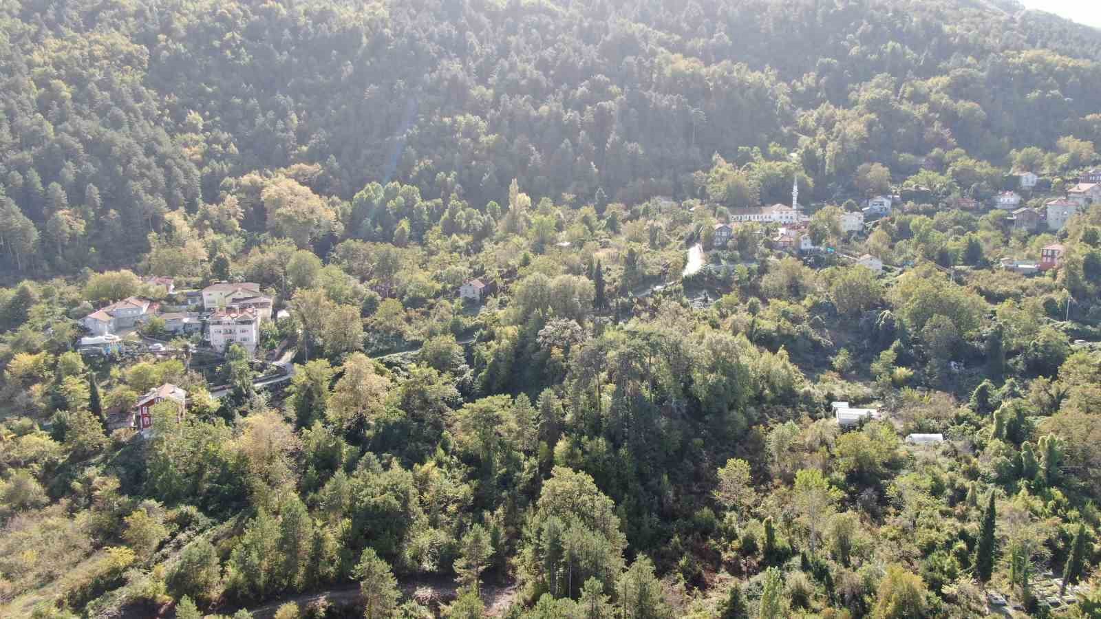 Kastamonu’da ayılar ilçeyi mesken tuttu
