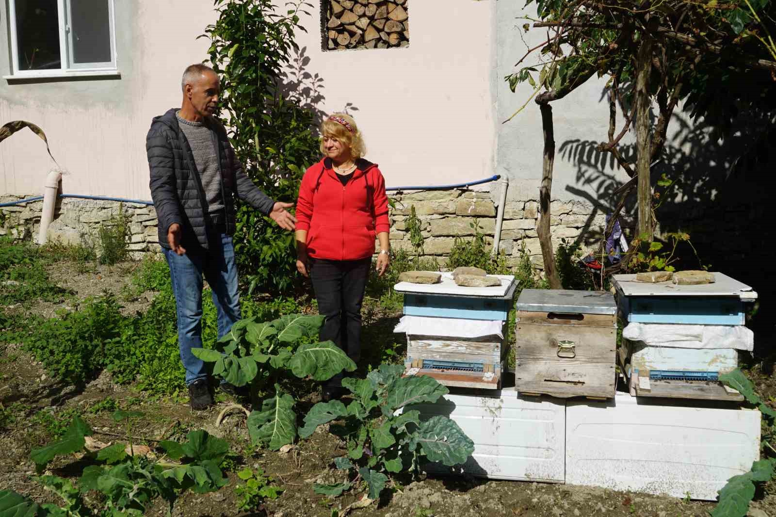 Kastamonu’da ayılar ilçeyi mesken tuttu
