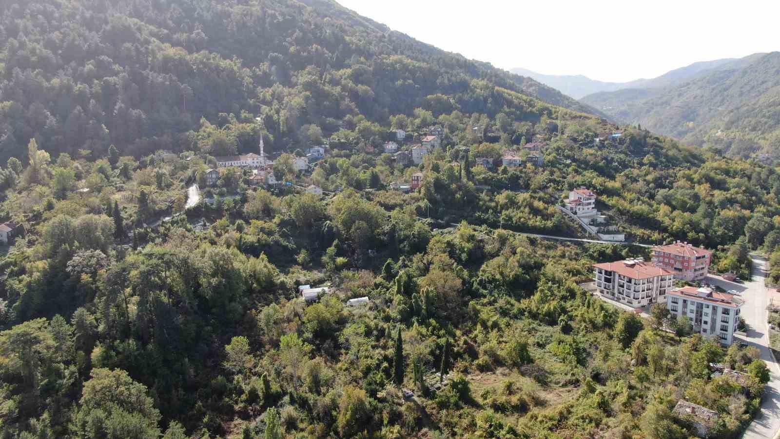 Kastamonu’da ayılar ilçeyi mesken tuttu
