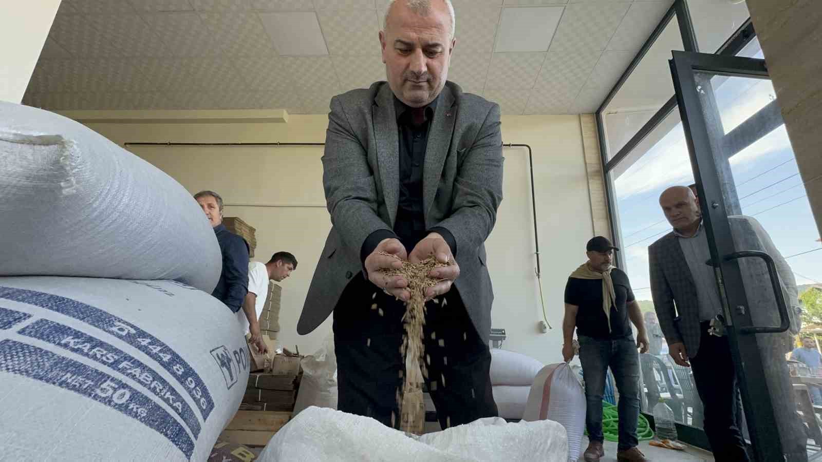 Faydaları saymakla bitmeyen pirinç şöhret yolunda
