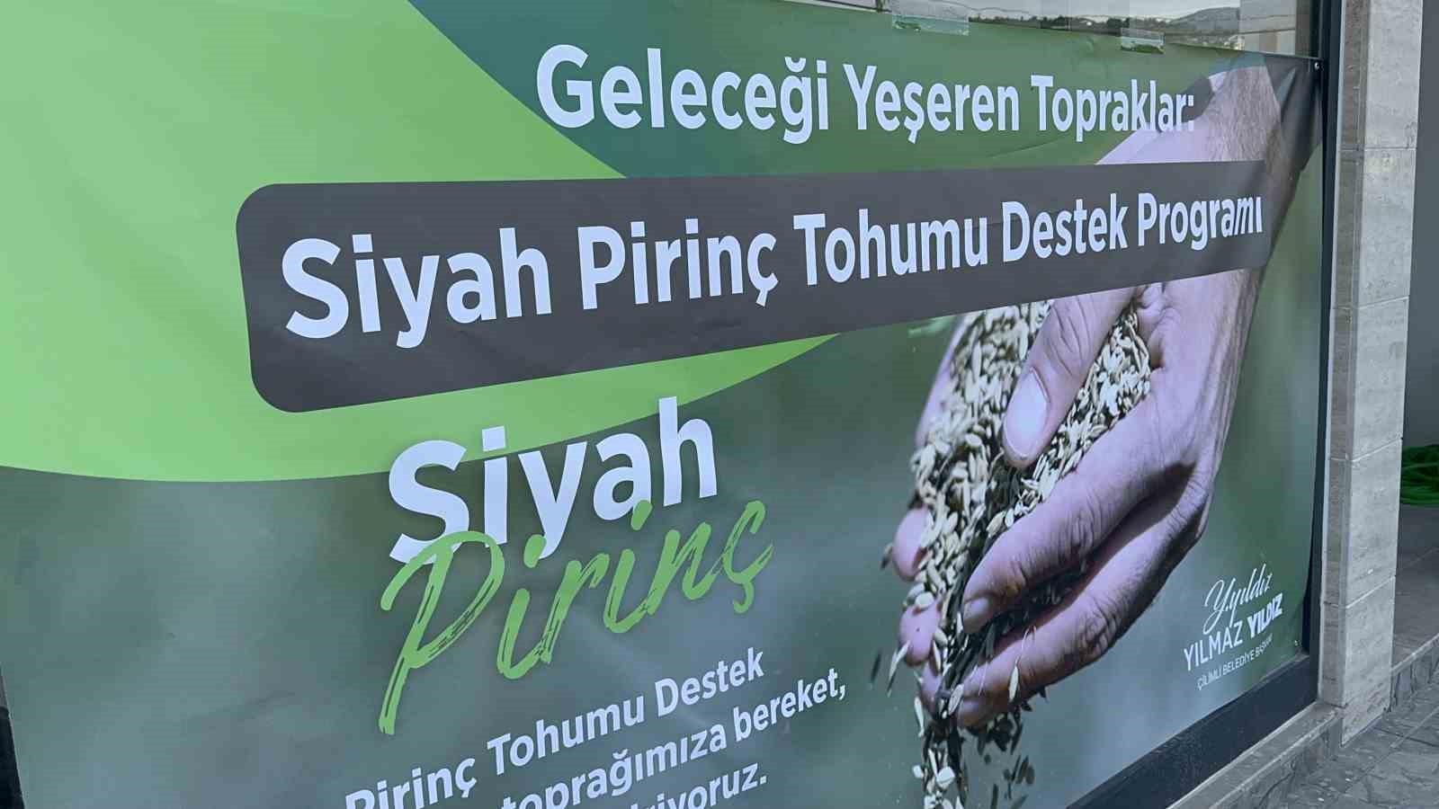 Faydaları saymakla bitmeyen pirinç şöhret yolunda
