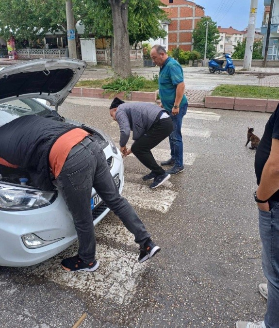 Otomobilin motor kısmına giden yavru kedi kurtarıldı
