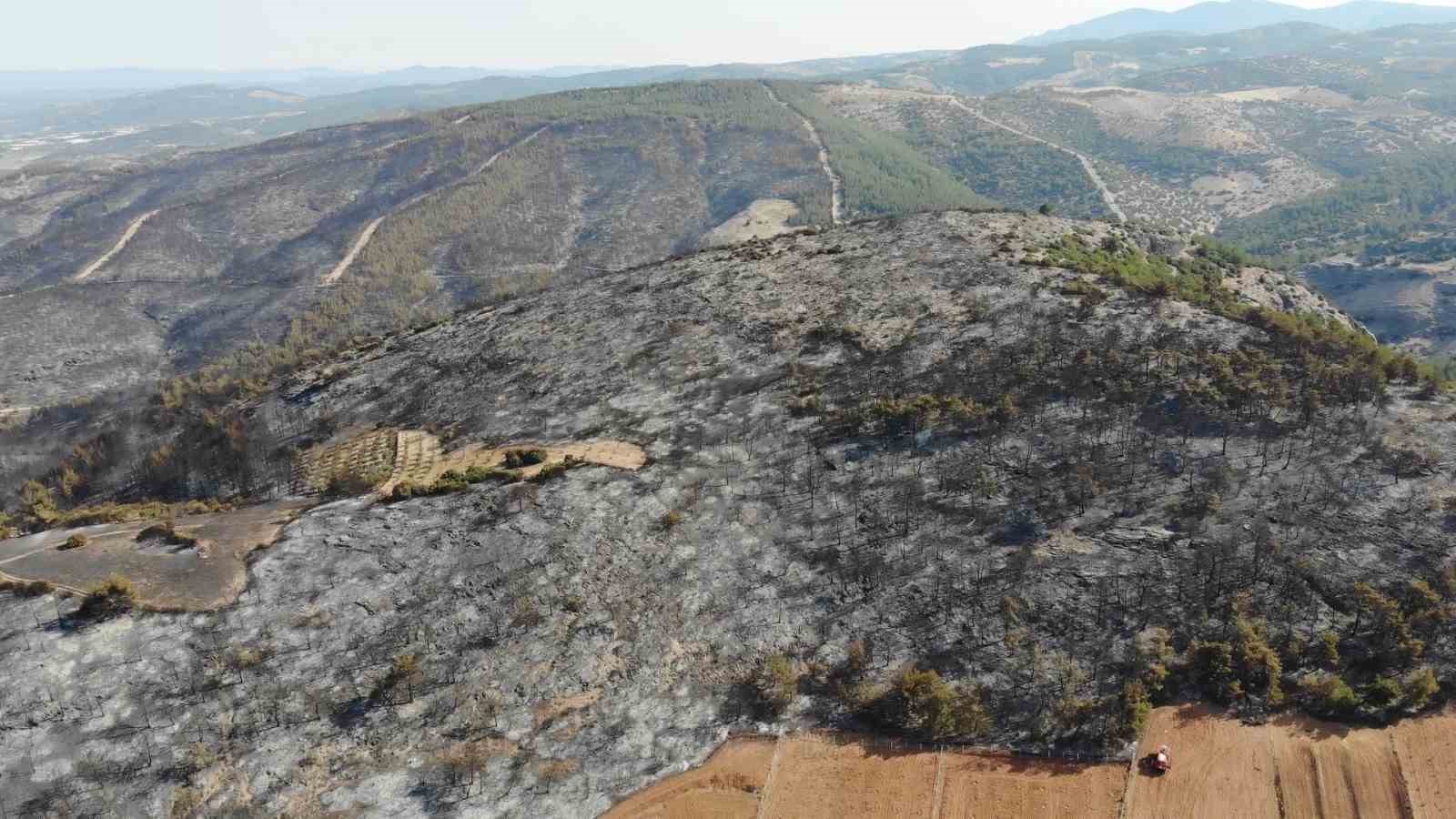 Manisa’da ormanlara giriş yasağı başladı
