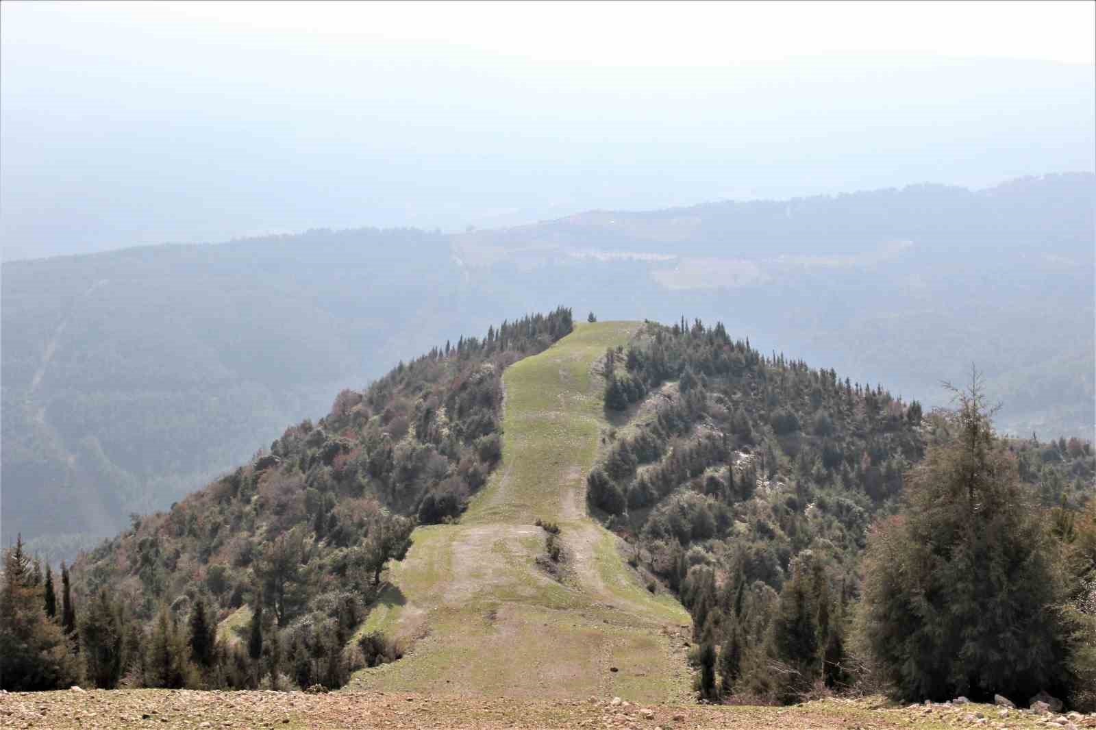 Manisa’da ormanlara giriş yasağı başladı
