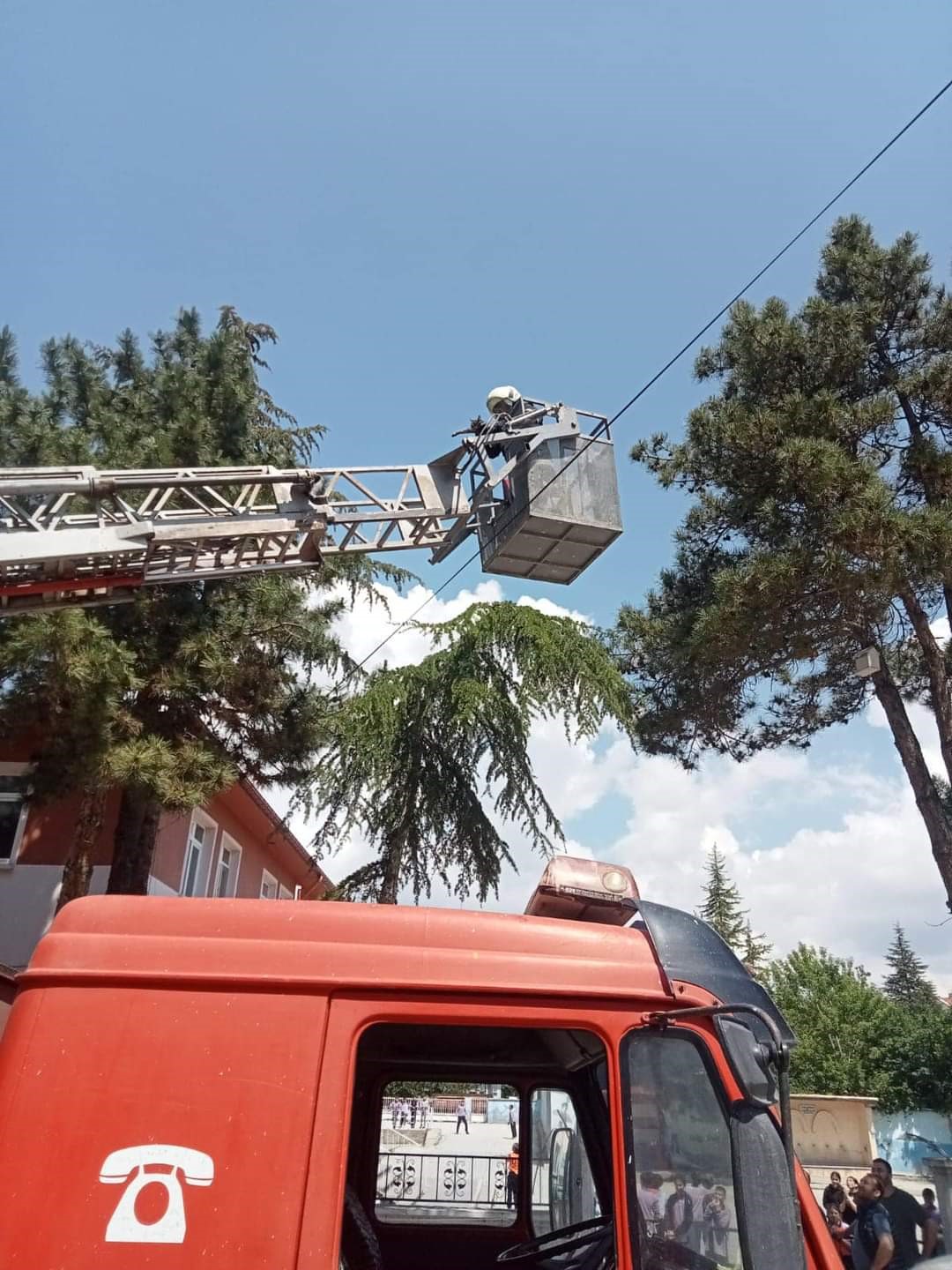 Tırmandığı ağaçta mahsur kalan kediyi itfaiye kurtardı
