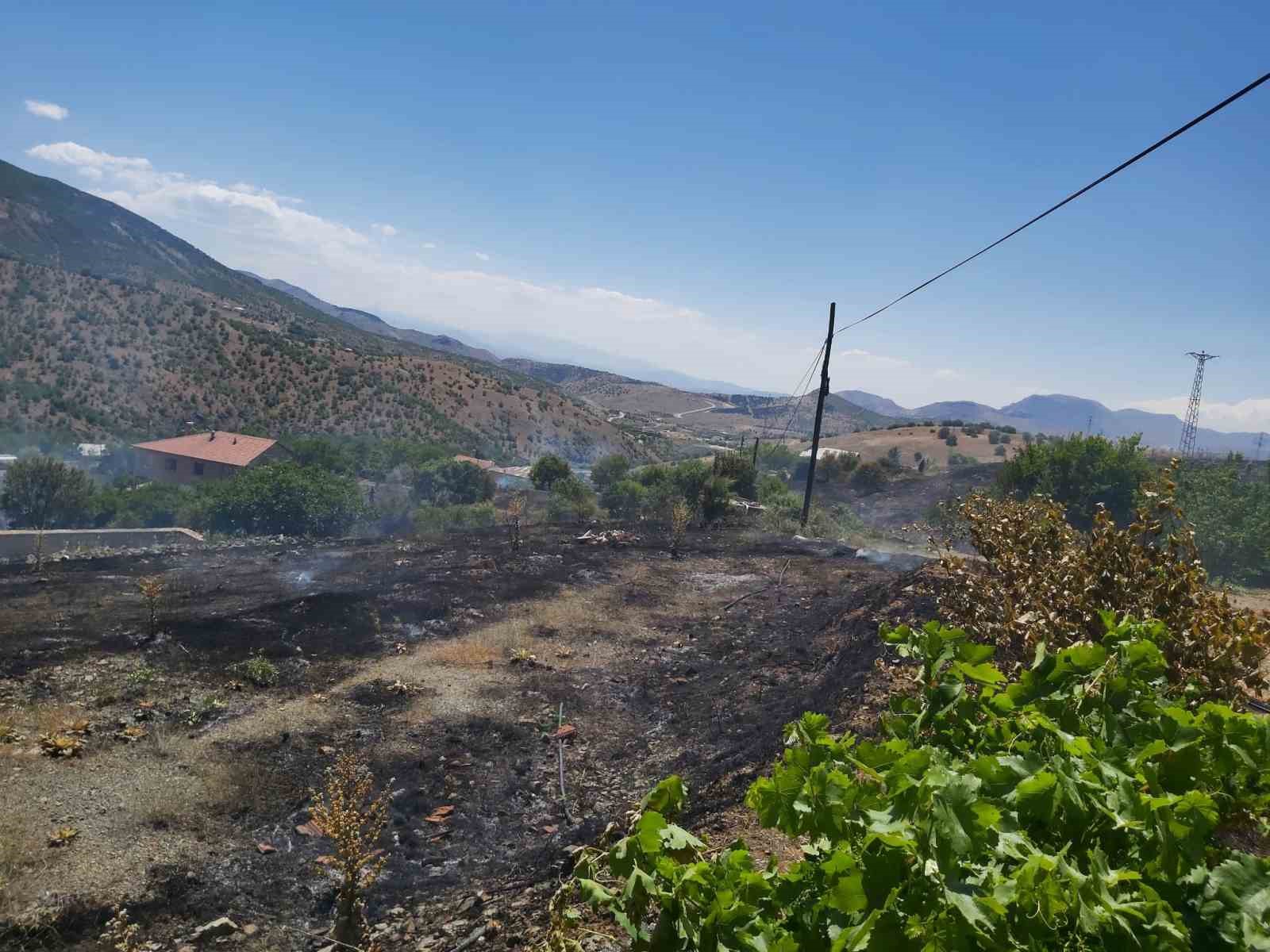 Elazığ’da ot yangını
