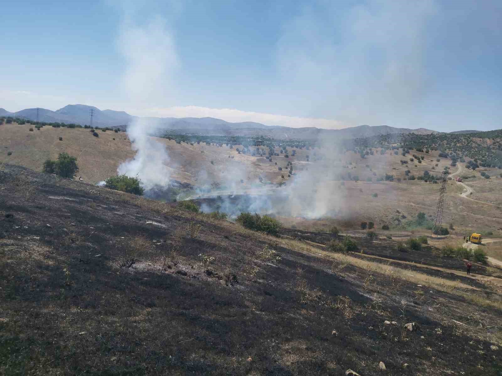 Elazığ’da ot yangını
