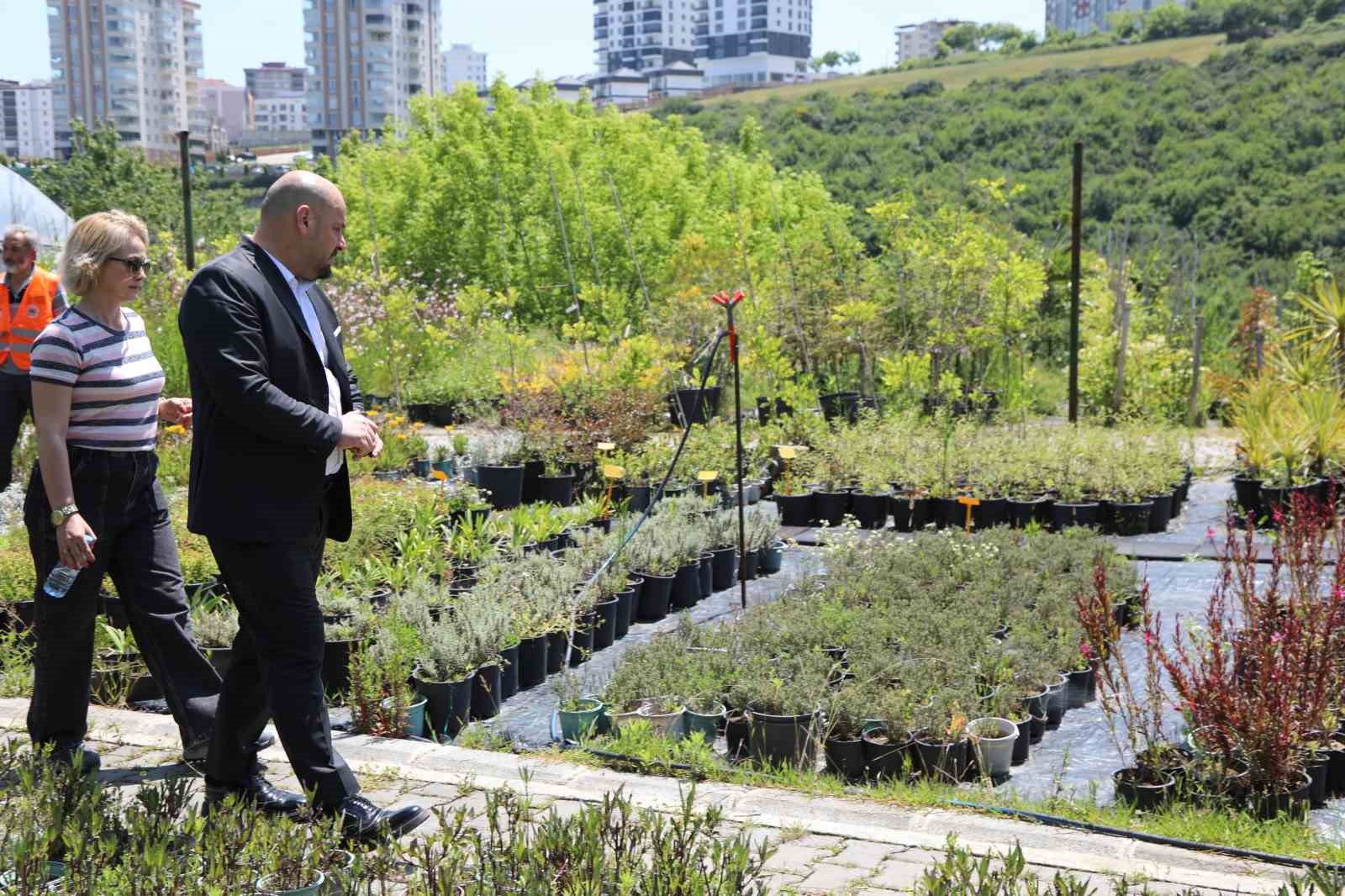 Atakum Belediyesi seracılık faaliyetleri
