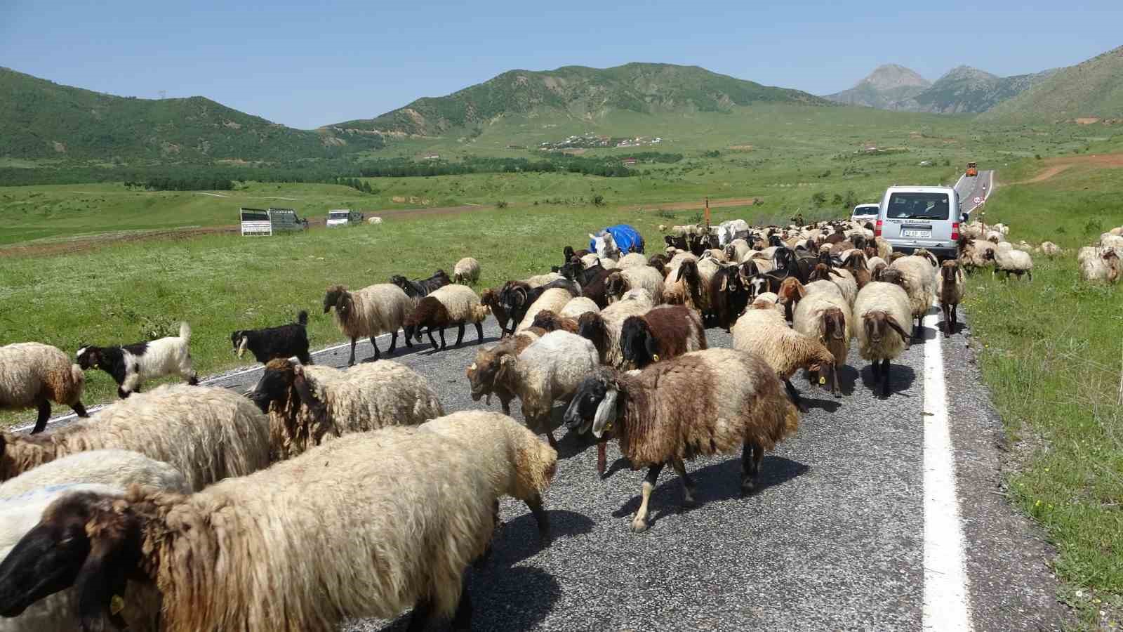 Besicilerin yayla yolculuğu başladı
