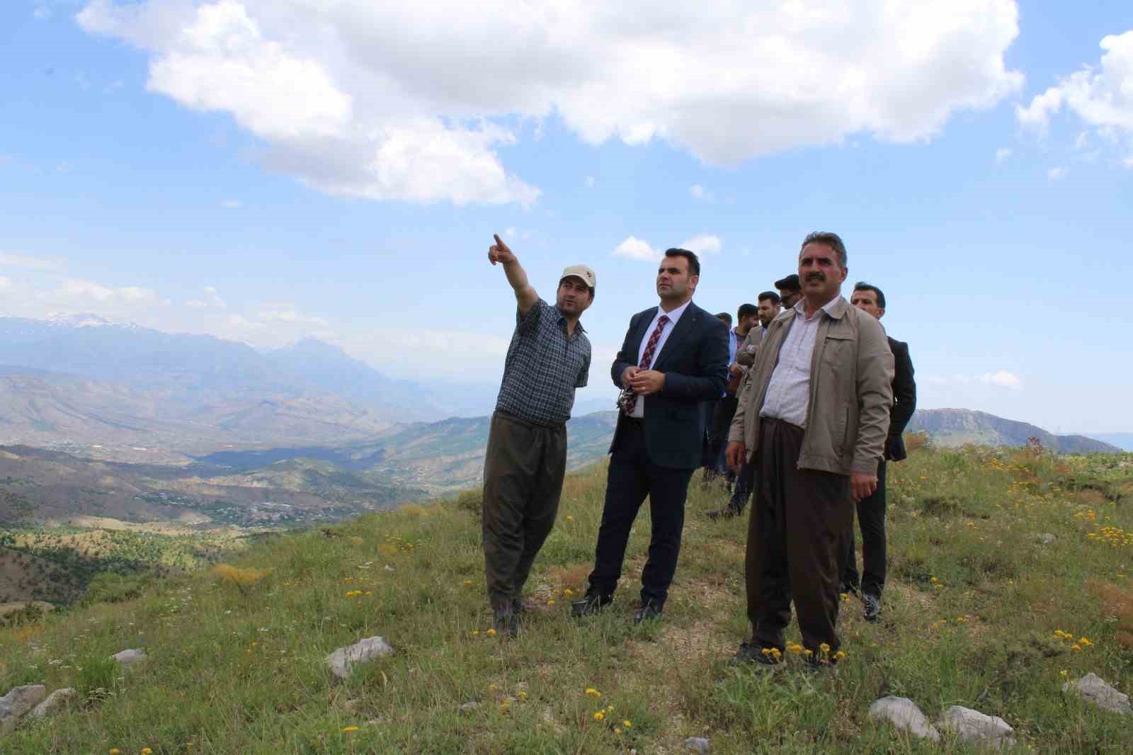 Derecik ilçesinde su ve yol çalışmaları başladı
