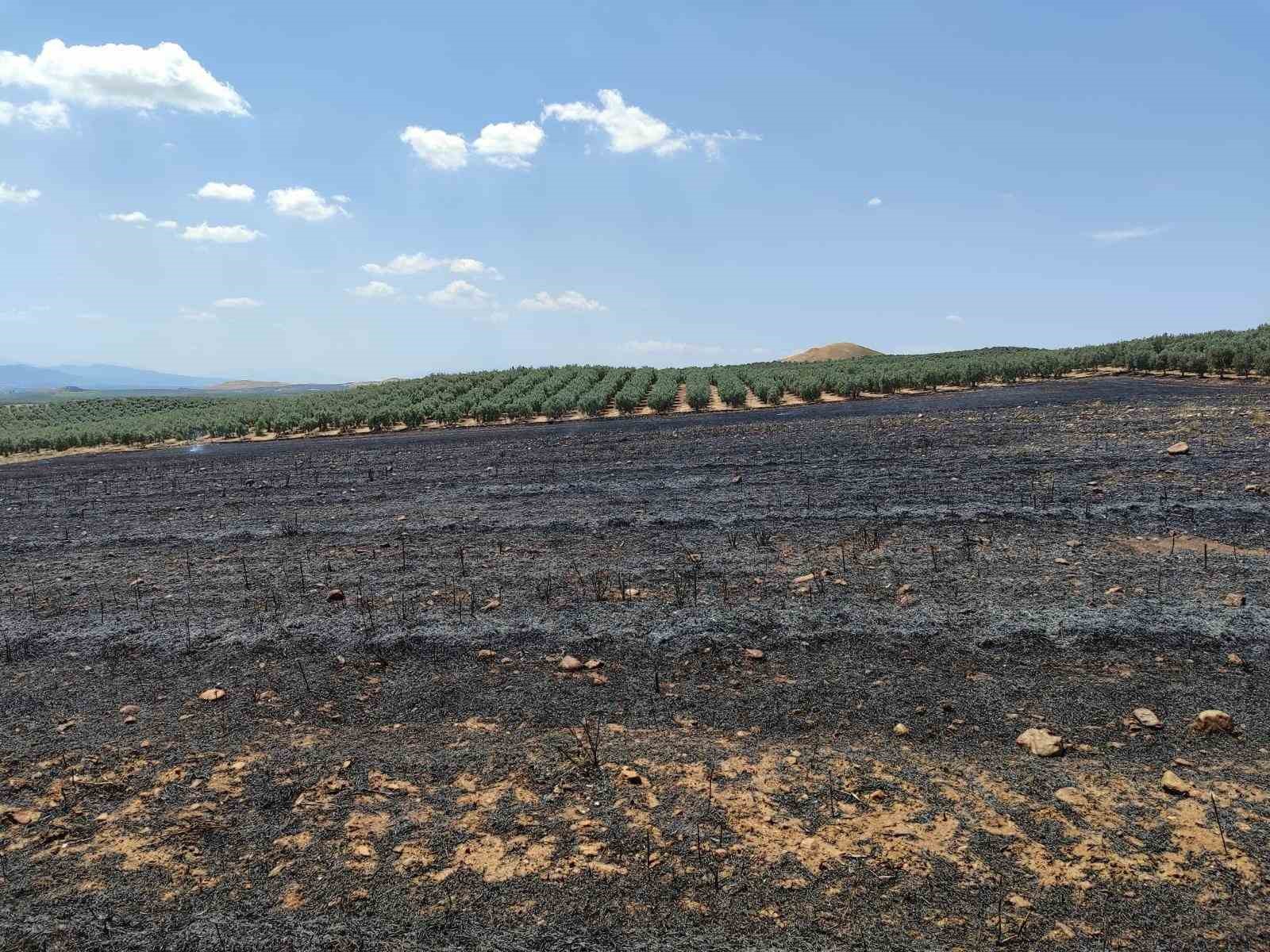 Manisa İtfaiyesi anız yangınlarına karşı uyardı
