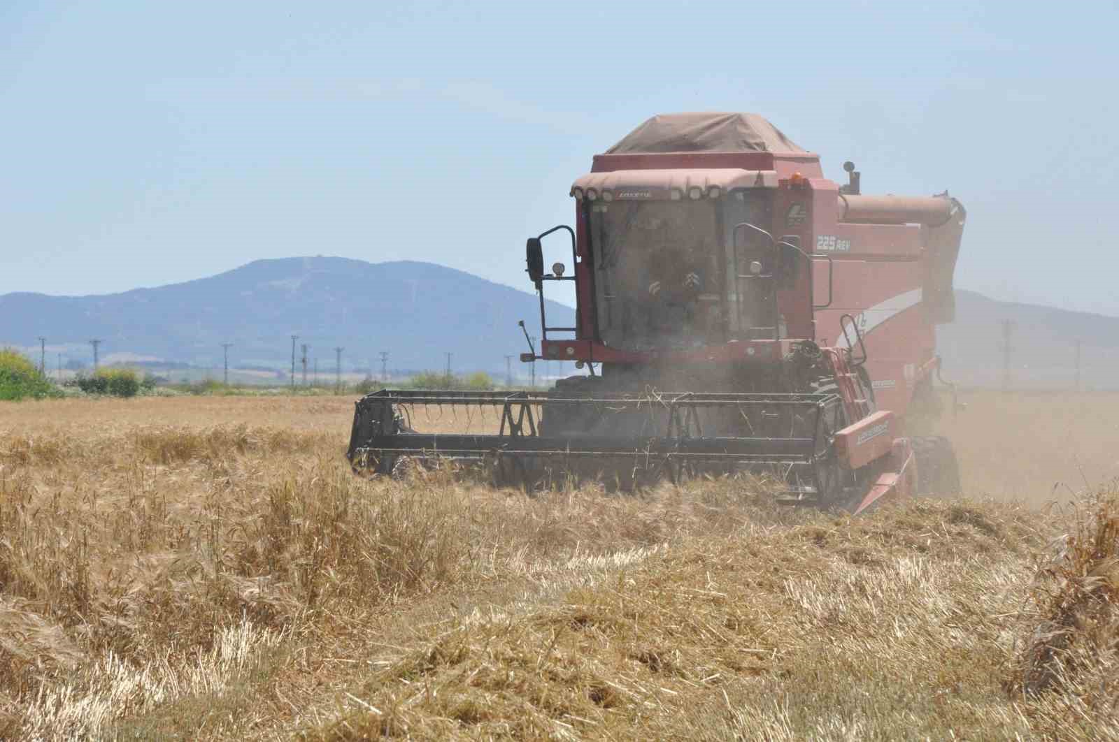 Edirne’de arpa hasadı başladı
