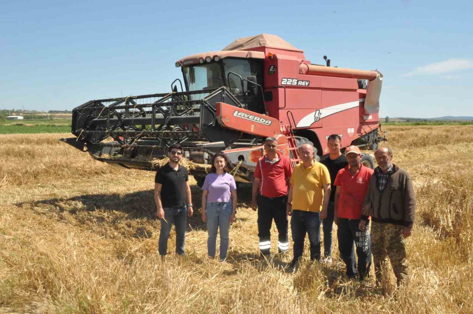 Edirne’de arpa hasadı başladı
