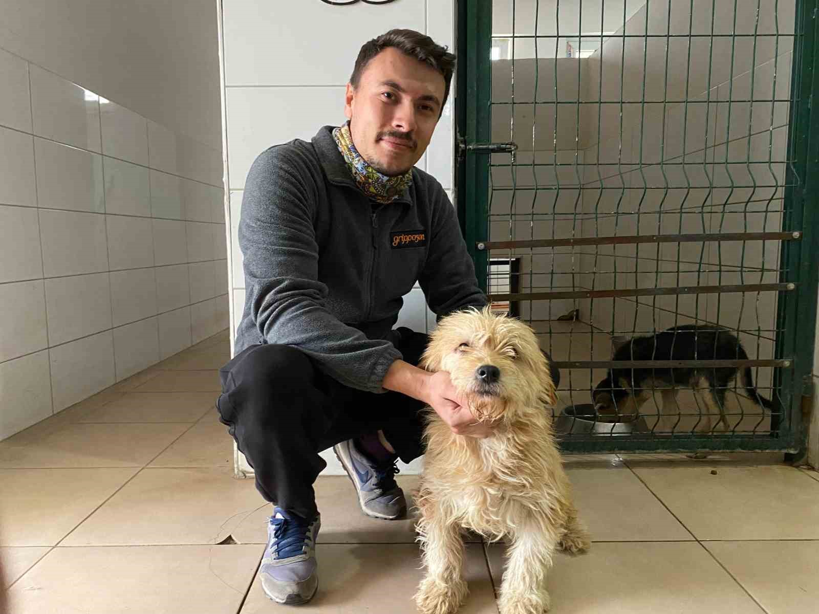 Sahipsiz köpeğe tümör ameliyatı
