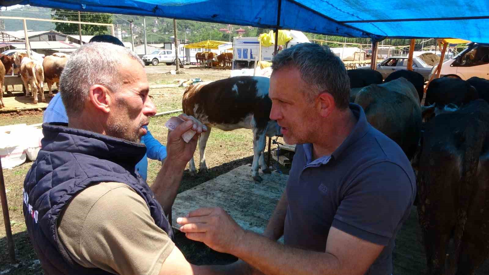 Kurban pazarlarında sıkı pazarlıklar başladı
