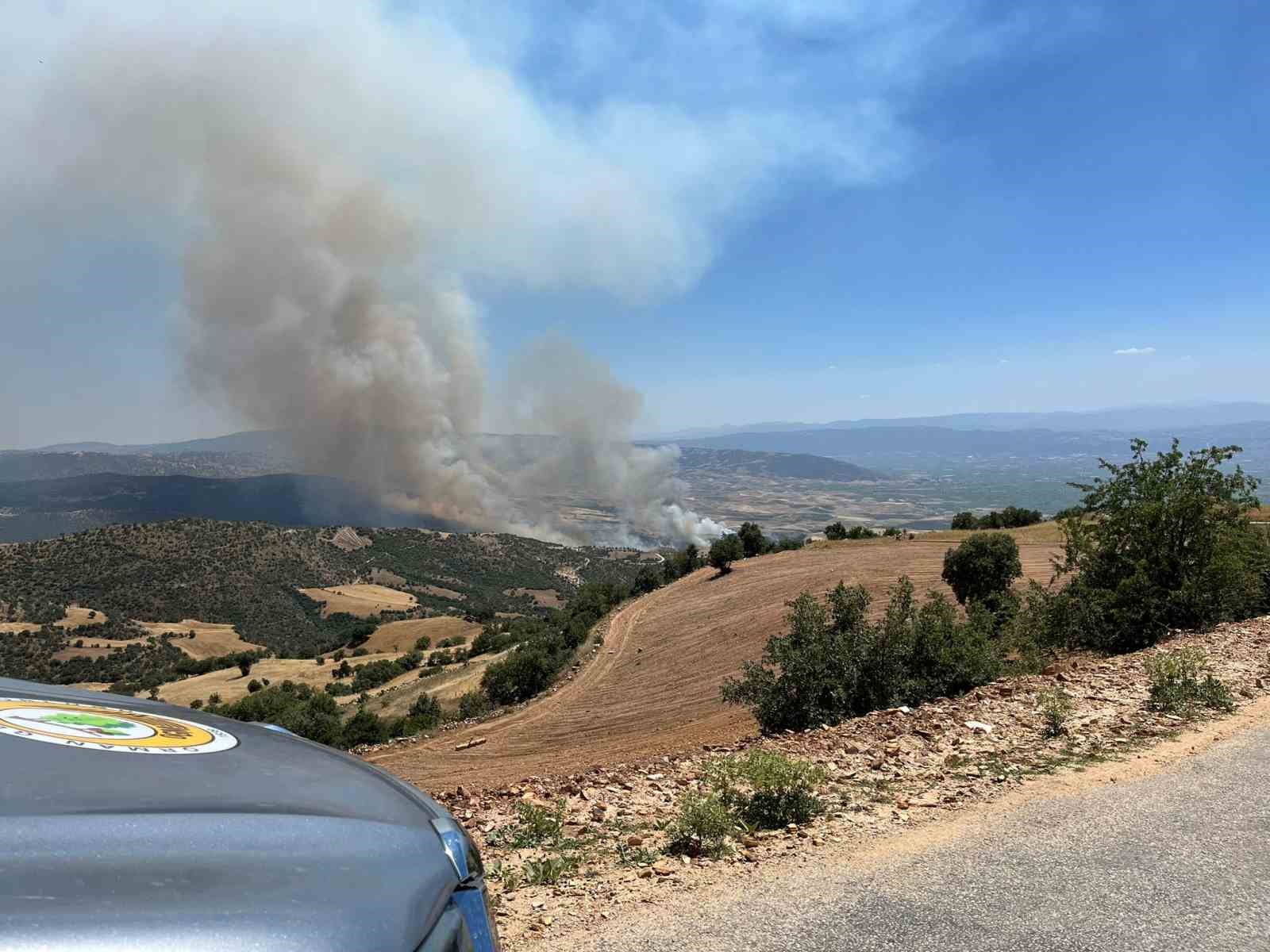 Manisa’da zirai alanda yangın
