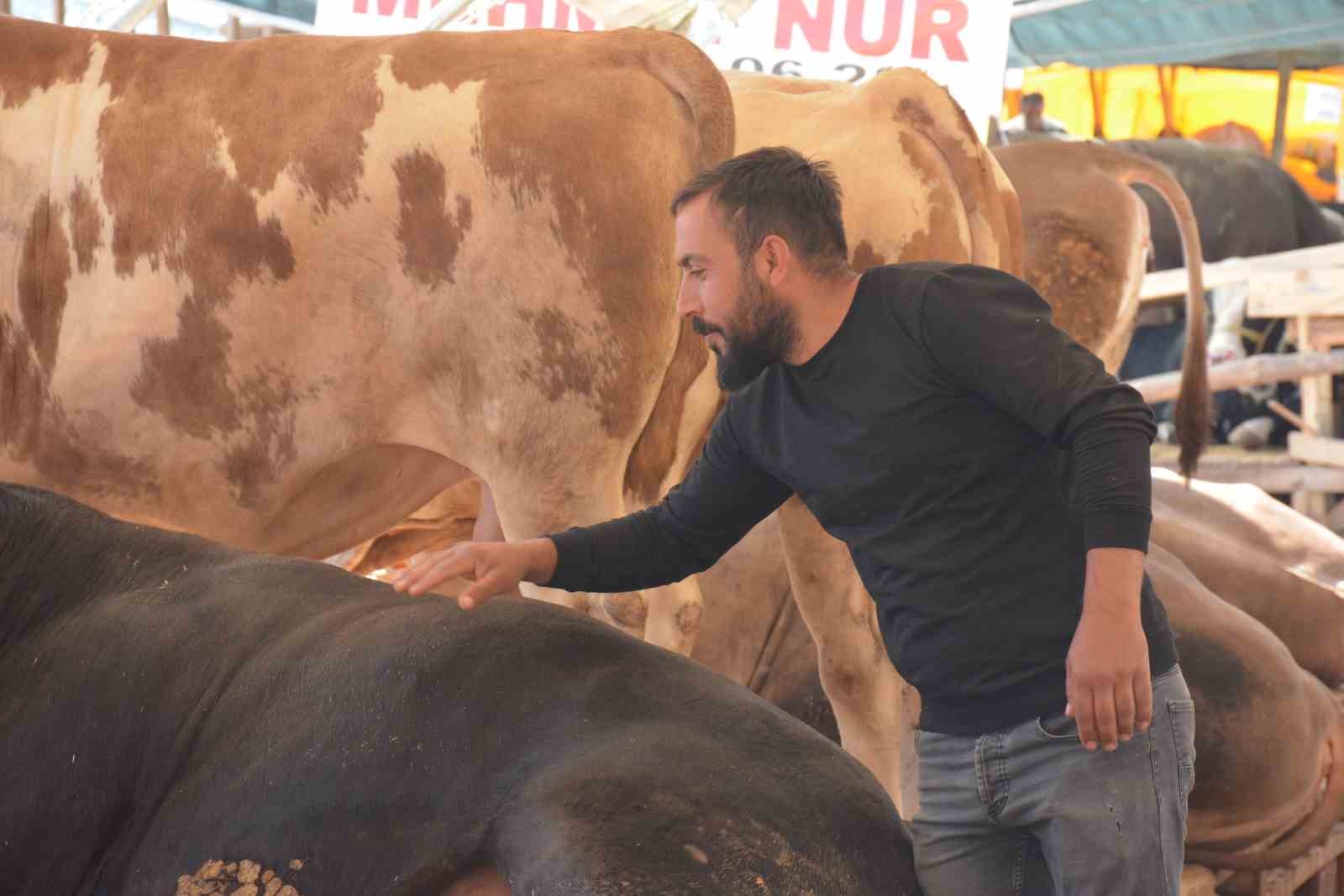 Ankara’daki kurban pazarlarında hareketlilik sürüyor
