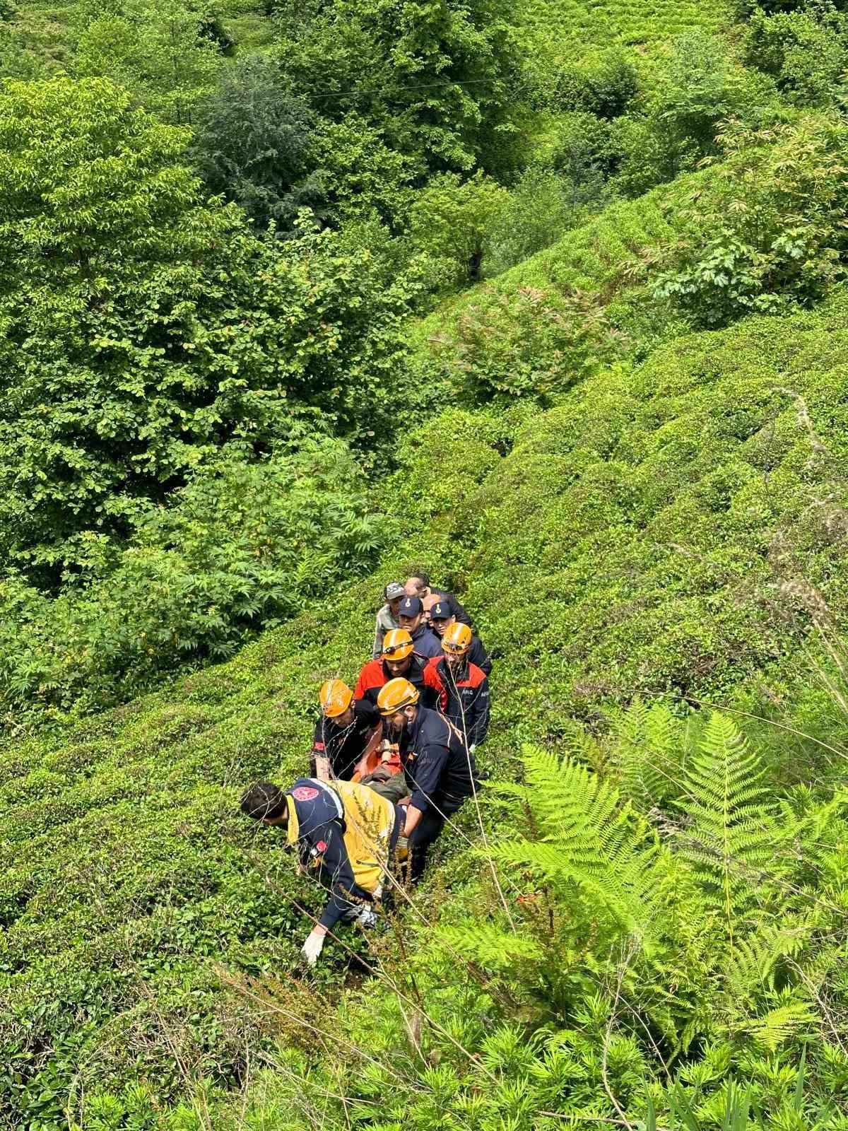 Rize’de kestiği ağacın altında kalan vatandaş yaralandı
