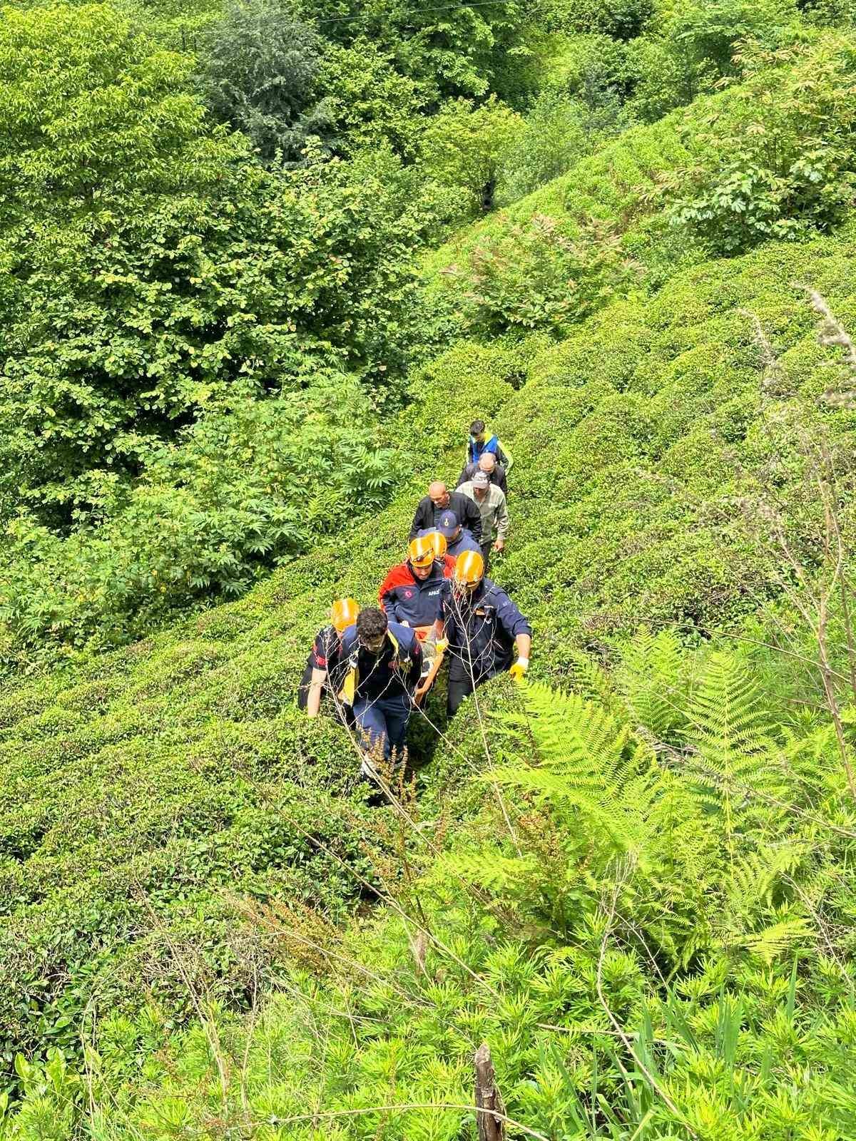 Rize’de kestiği ağacın altında kalan vatandaş yaralandı
