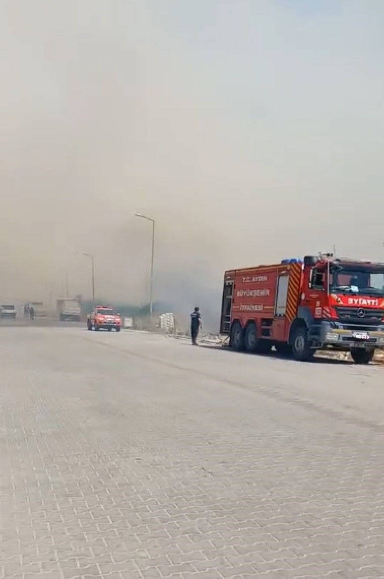 Boş arazide çıkan yangın korkuttu
