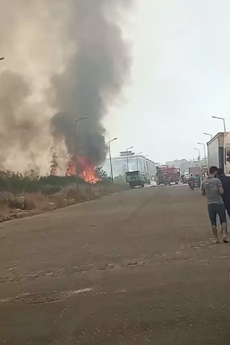 Boş arazide çıkan yangın korkuttu
