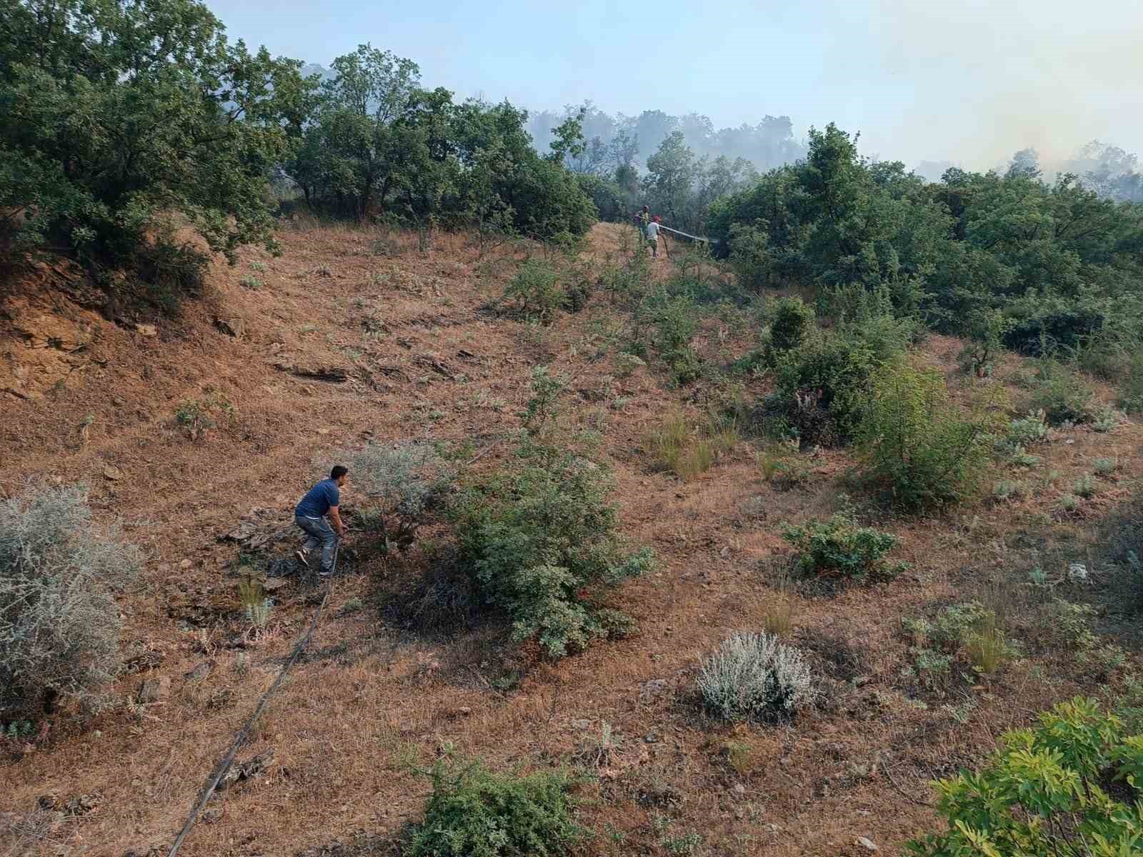 Manisa’daki yangında 5 bin dönümlük alan küle döndü
