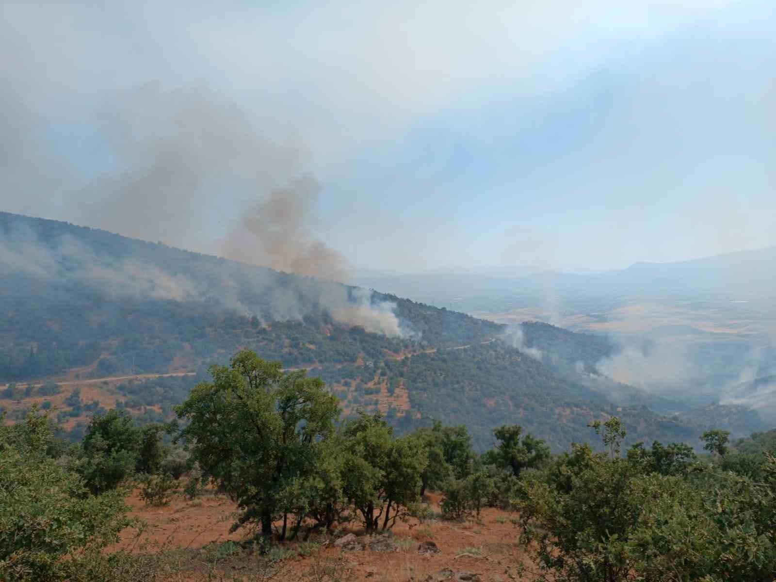 Manisa’daki yangında 5 bin dönümlük alan küle döndü
