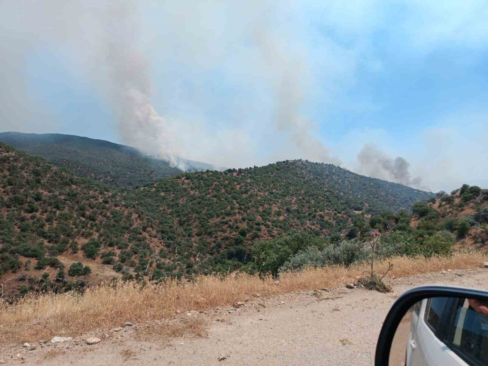 Manisa’daki yangında ekip sayısı 71’e çıktı: Uşak-İzmir tren seferleri durduruldu
