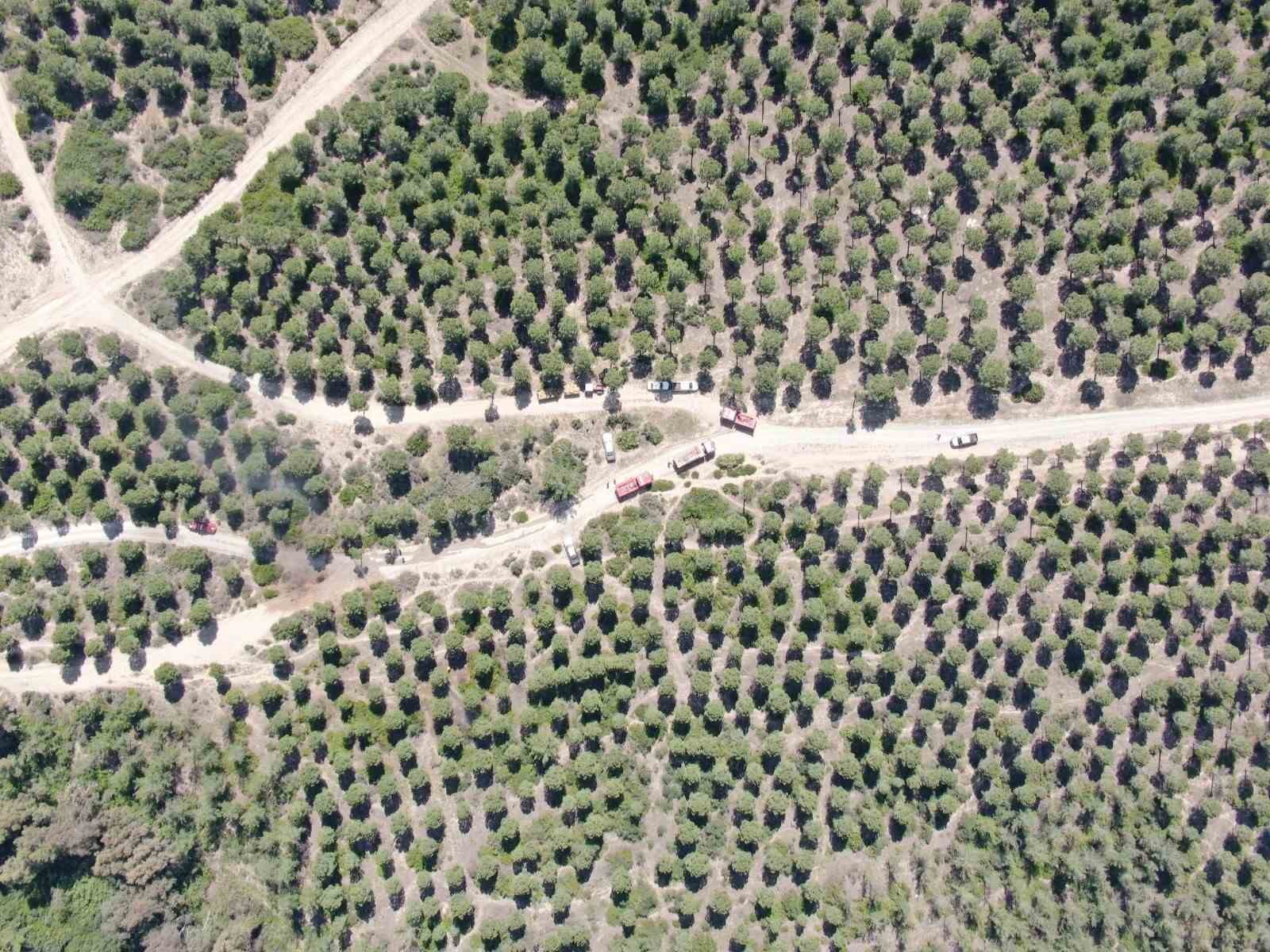 Adana’da havadan ve karadan nefes kesen yangın tatbikatı
