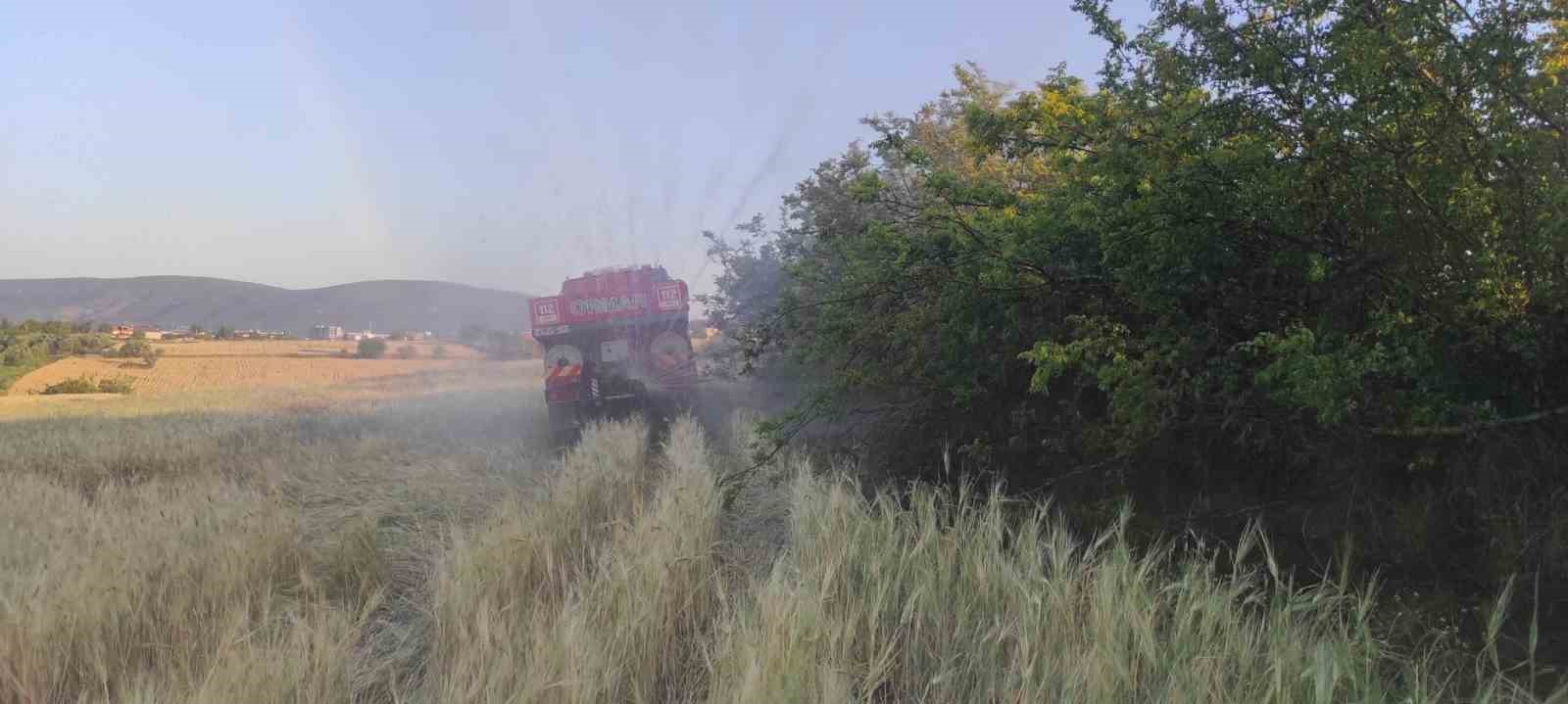 Osmaneli’de elektrik tellerine çarpan kuş yangına neden oldu
