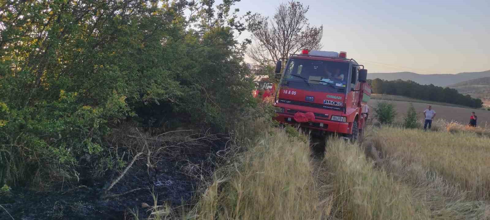 Osmaneli’de elektrik tellerine çarpan kuş yangına neden oldu
