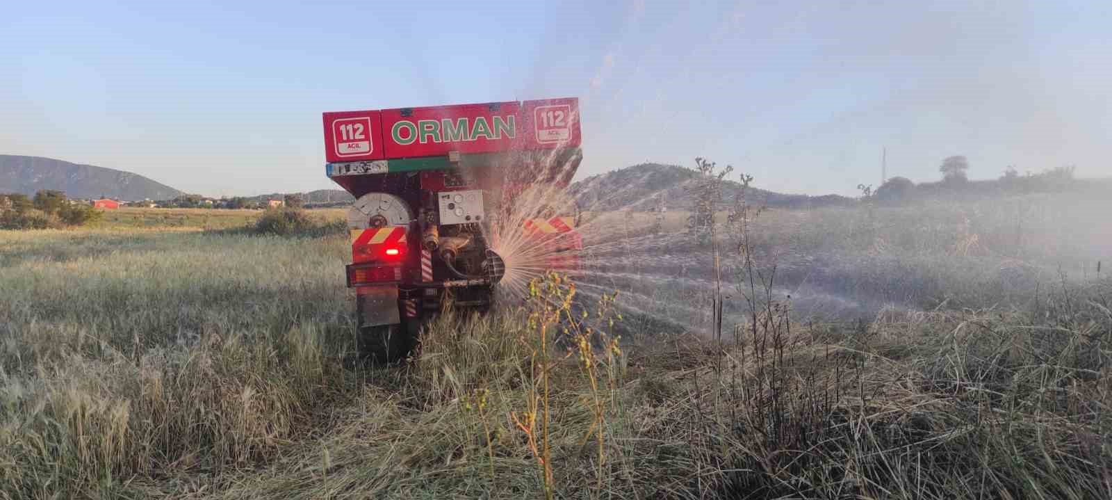 Osmaneli’de elektrik tellerine çarpan kuş yangına neden oldu
